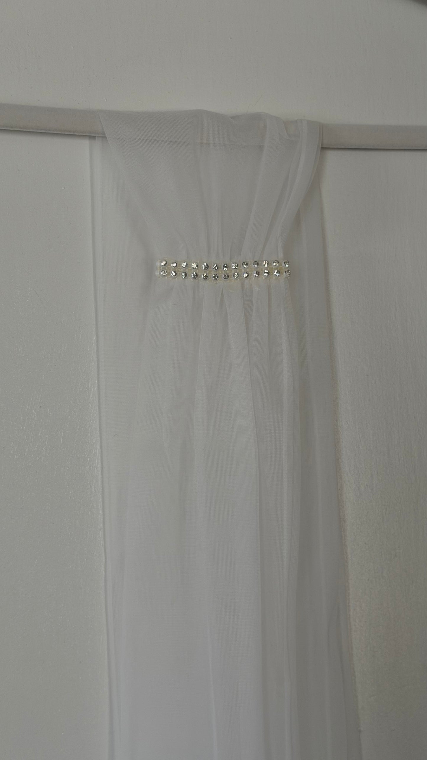 Rare Sheer Chiffon Overlay Gown with Matching Belt
