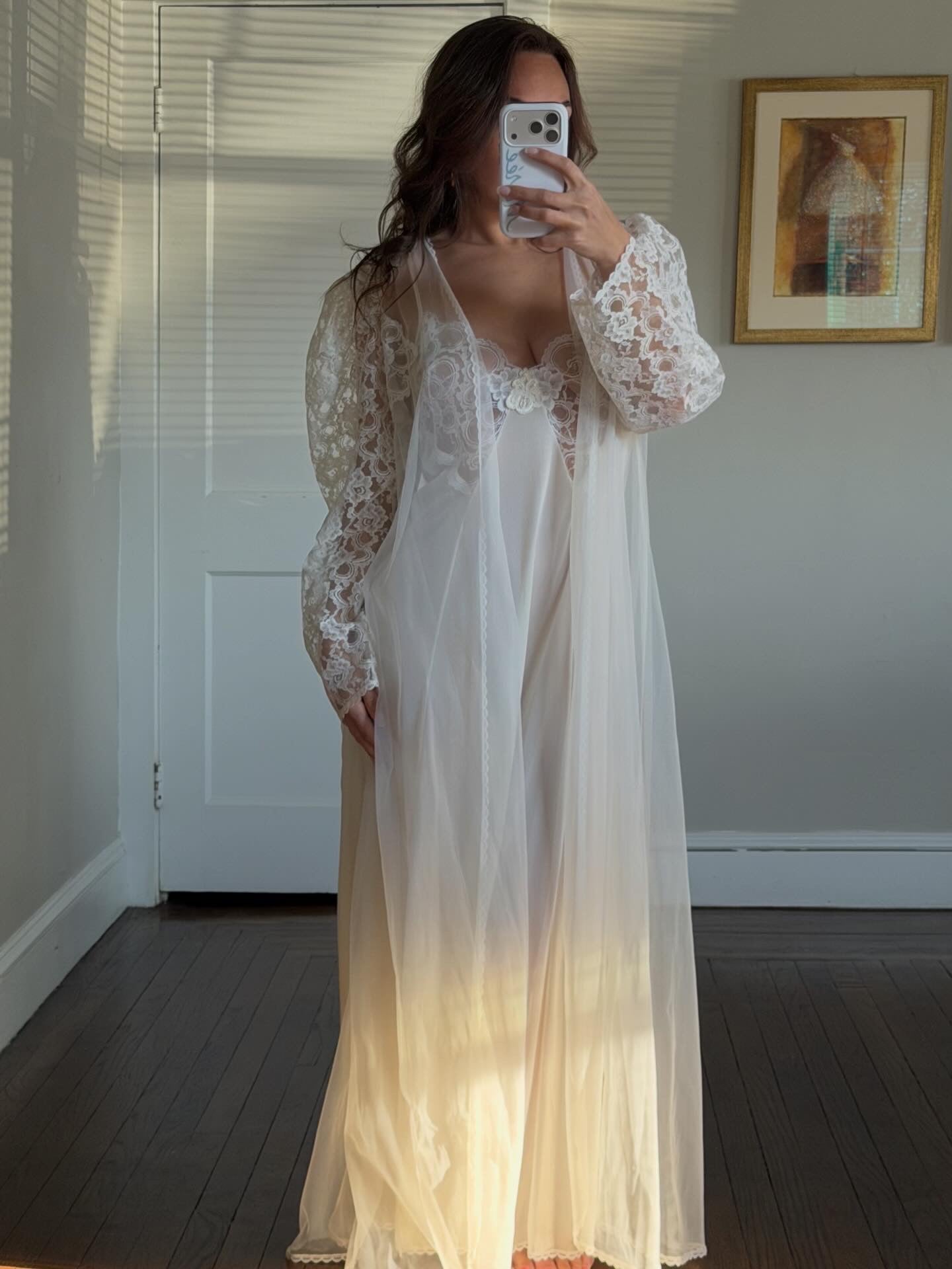 Rare Sheer Lace Longsleeve Peignoir Set