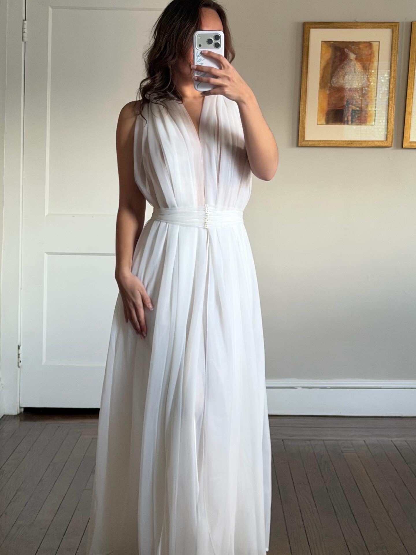 Rare Sheer Chiffon Overlay Gown with Matching Belt