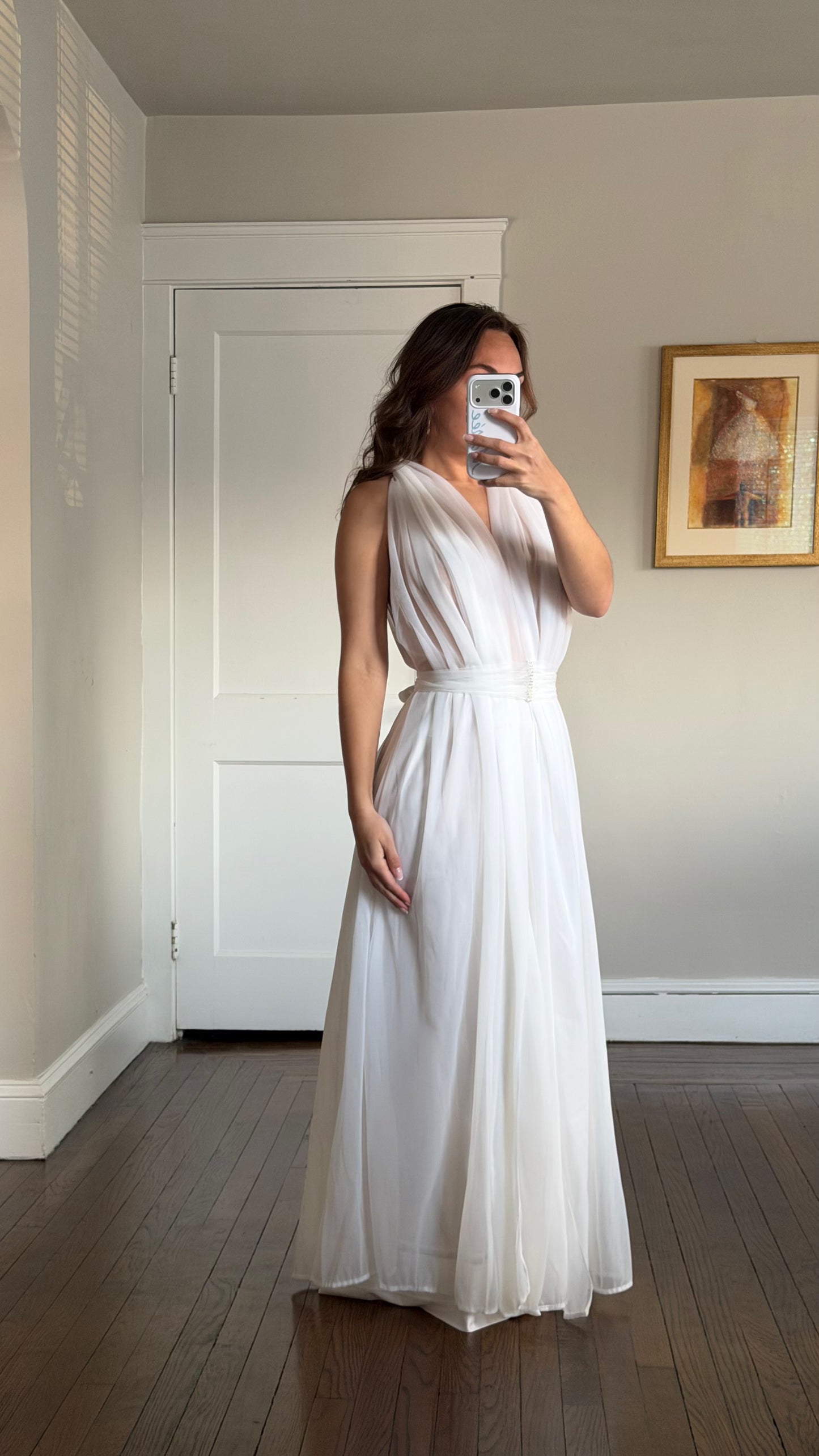 Rare Sheer Chiffon Overlay Gown with Matching Belt