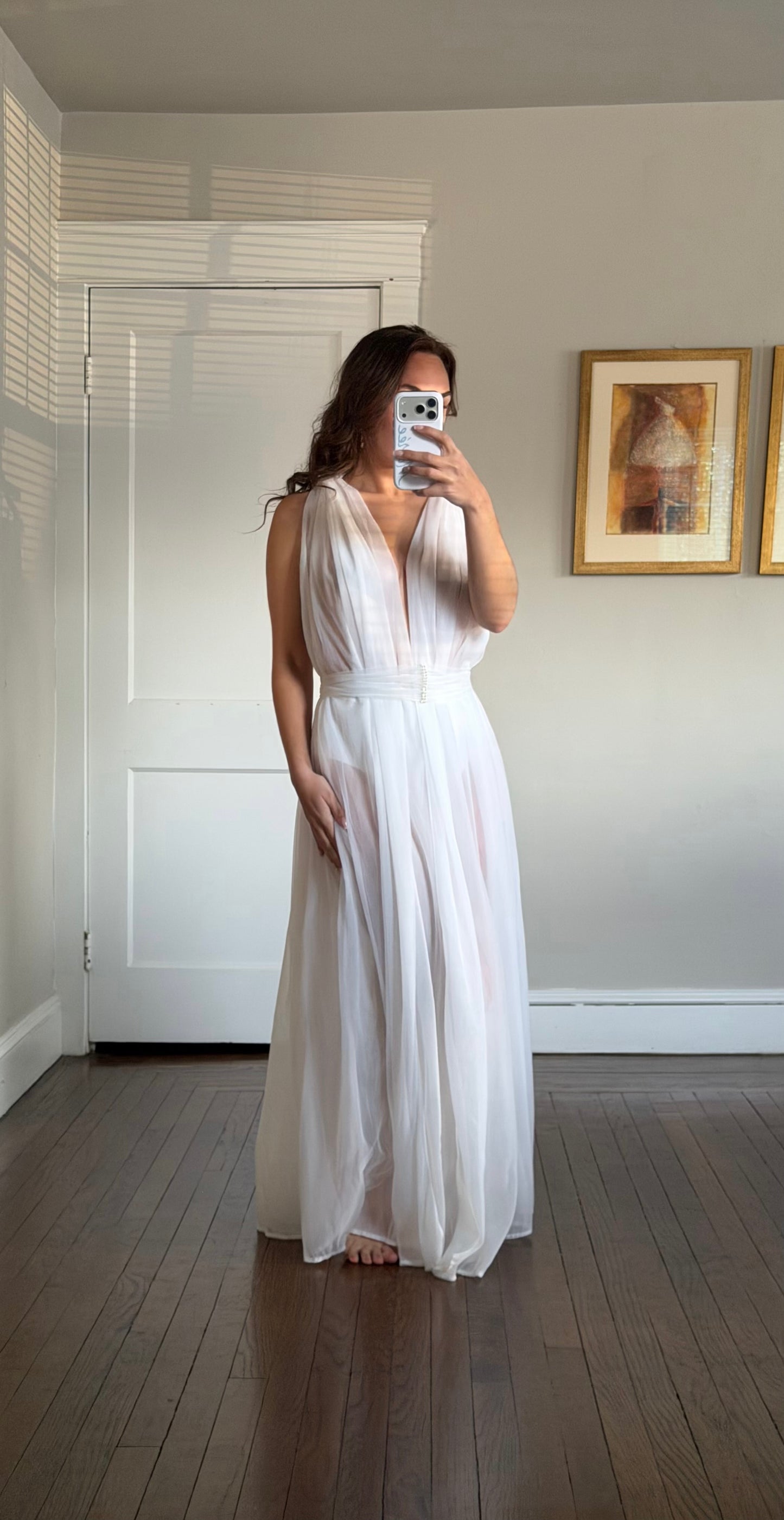 Rare Sheer Chiffon Overlay Gown with Matching Belt