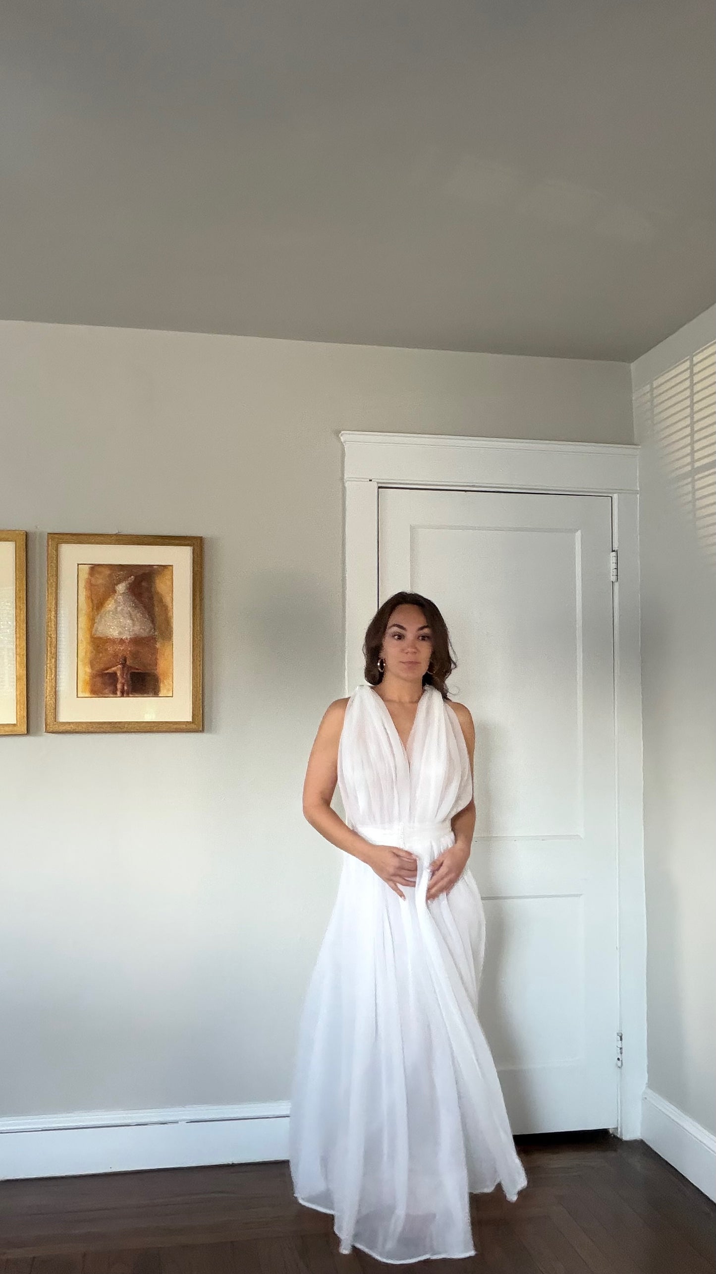 Rare Sheer Chiffon Overlay Gown with Matching Belt
