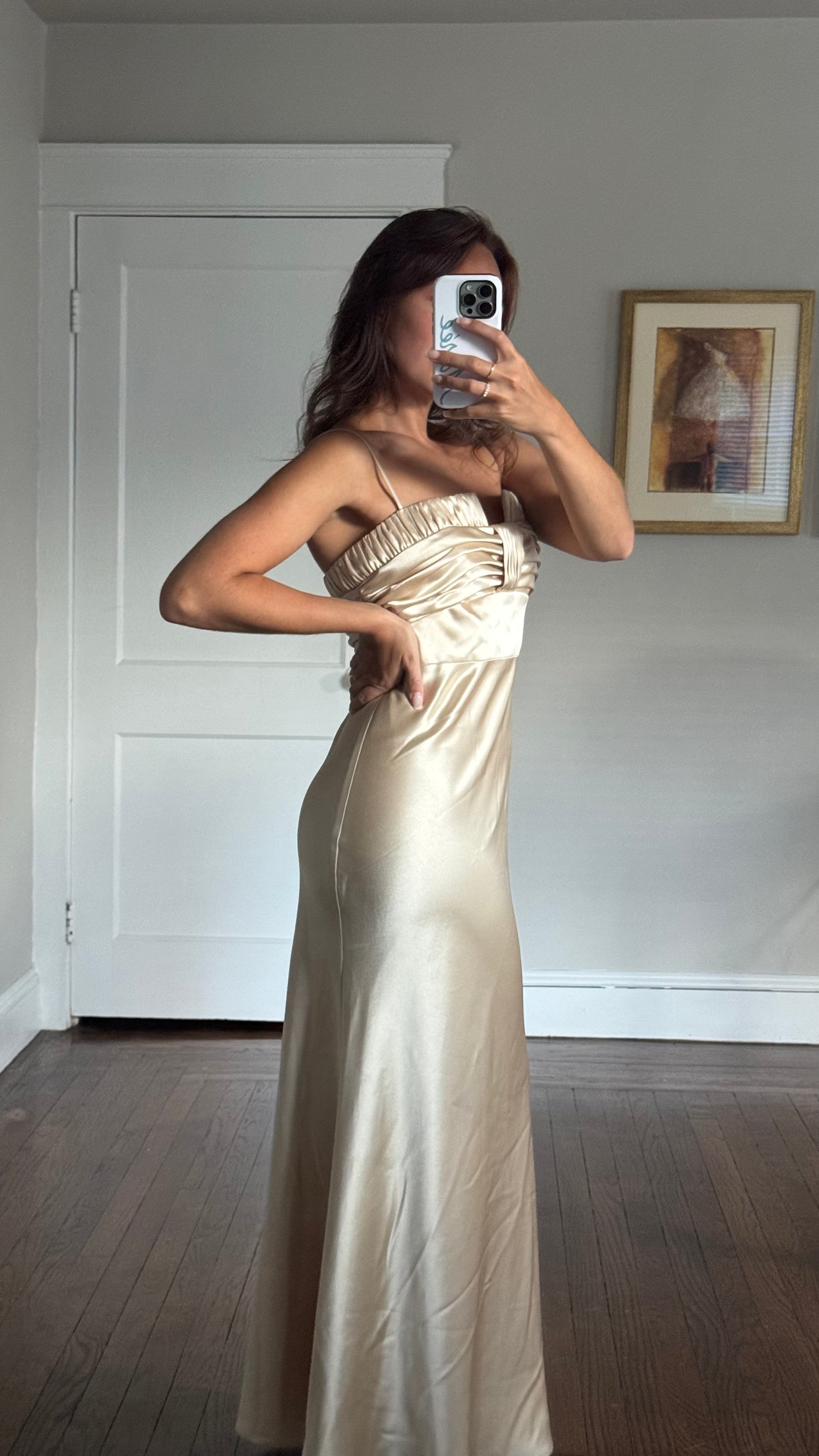 abs evening dress ABS by Allen Schwartz - Hire Dresses & Gowns
