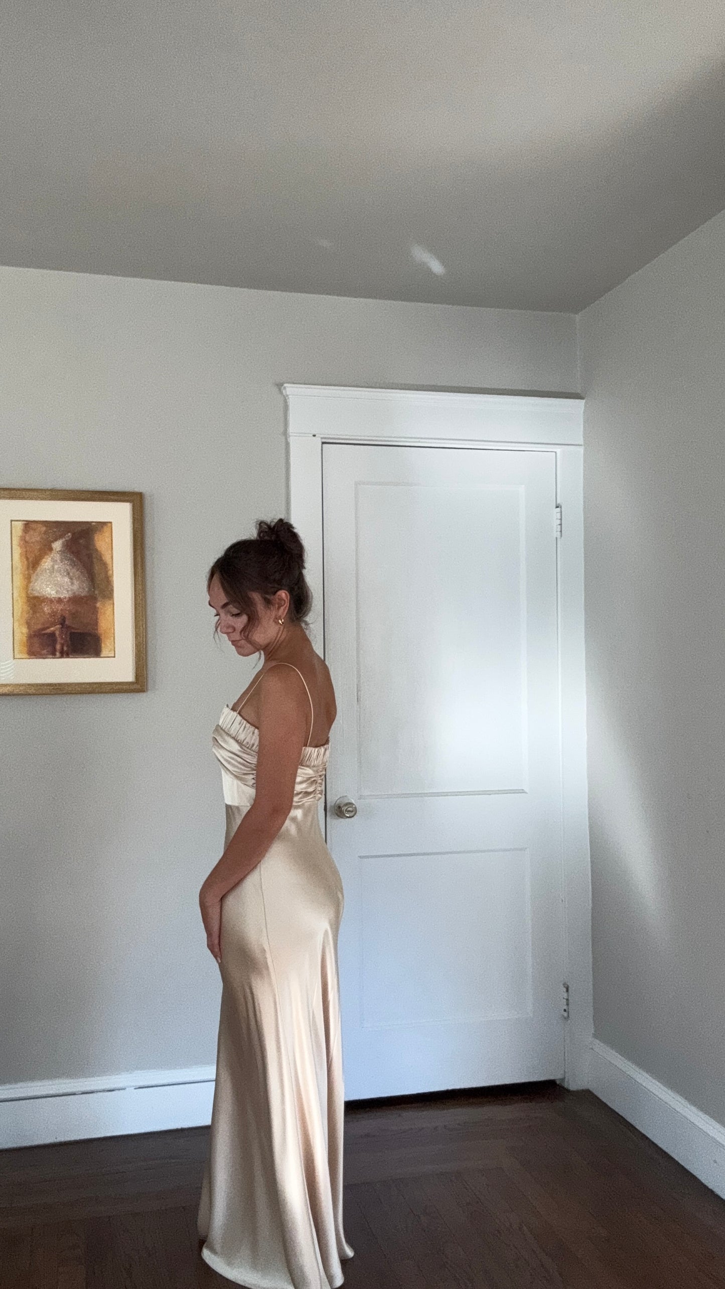 Vintage Champagne ABS Dress