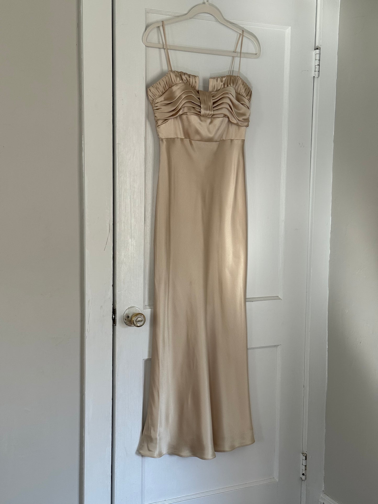 Vintage Champagne ABS Dress