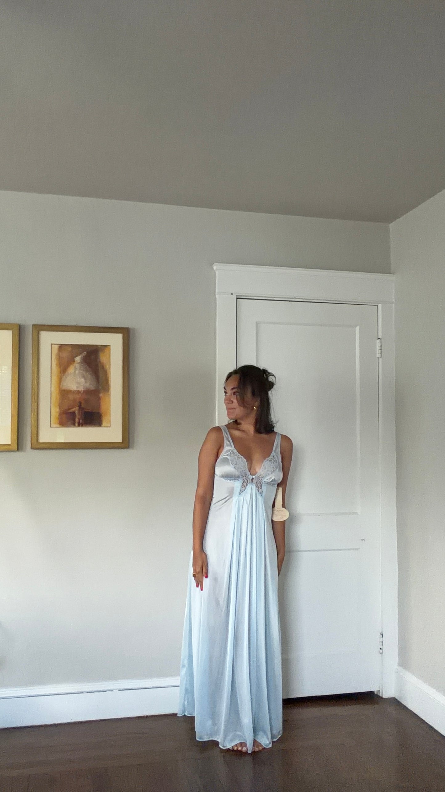 Rare Blue Butterfly Slip