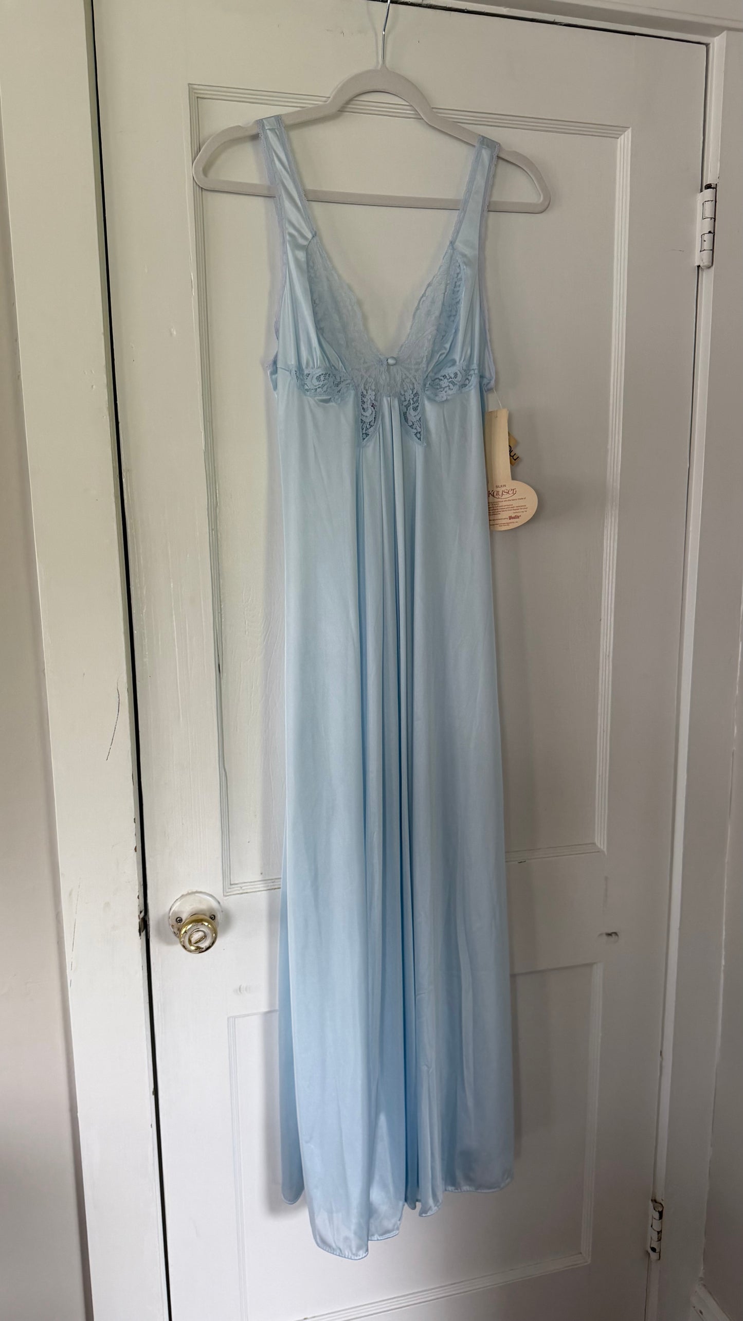Rare Blue Butterfly Slip