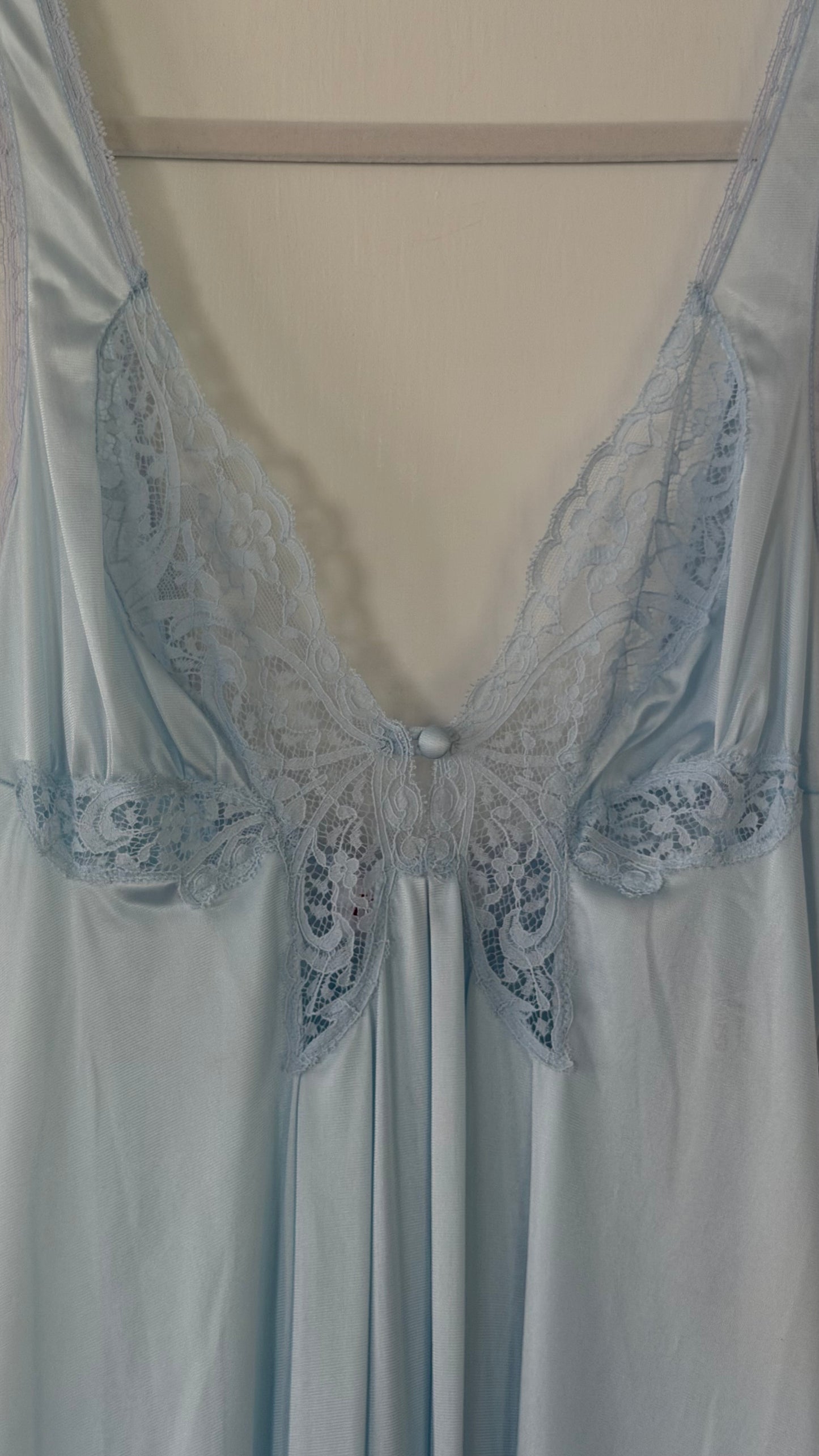 Rare Blue Butterfly Slip