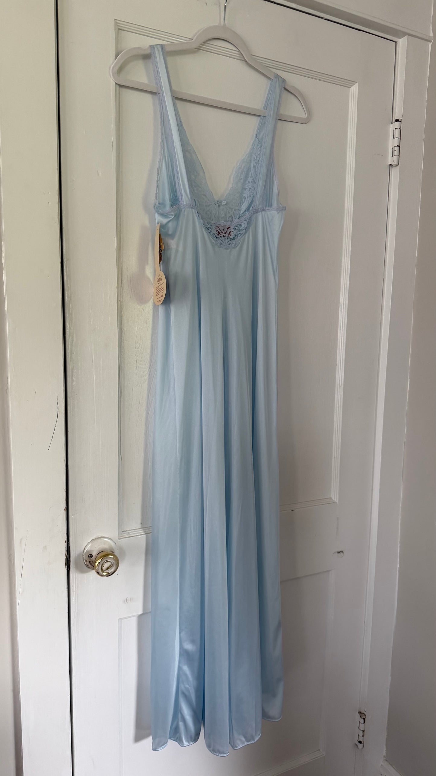 Rare Blue Butterfly Slip