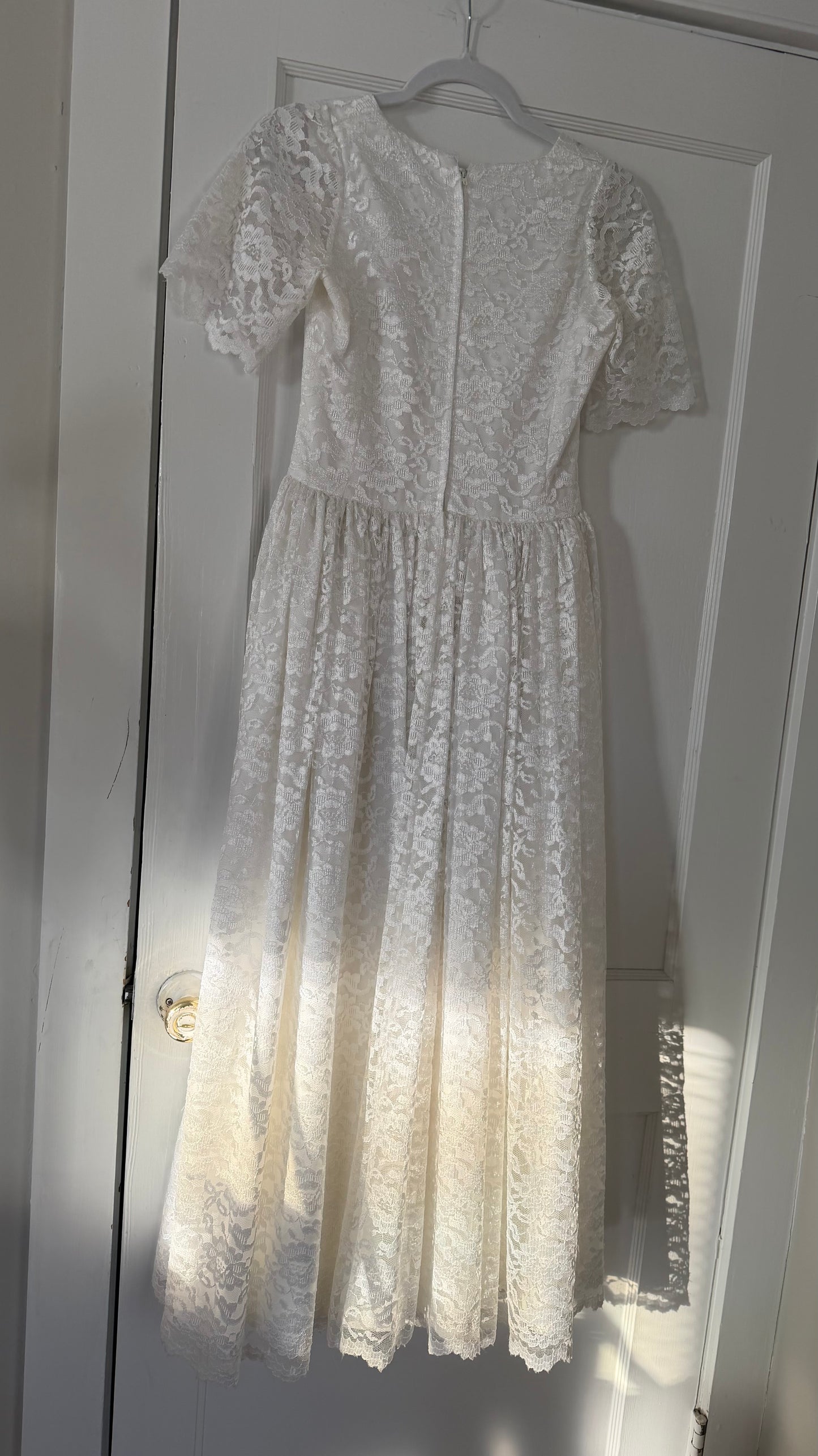 Basque Waist Lace Dress
