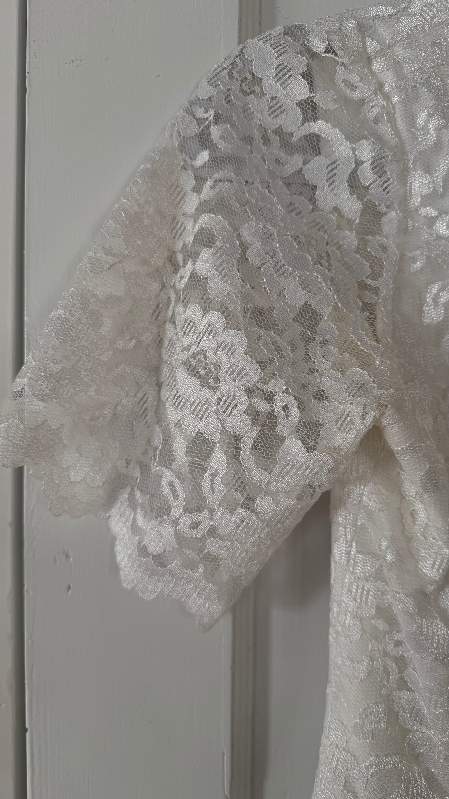 Basque Waist Lace Dress