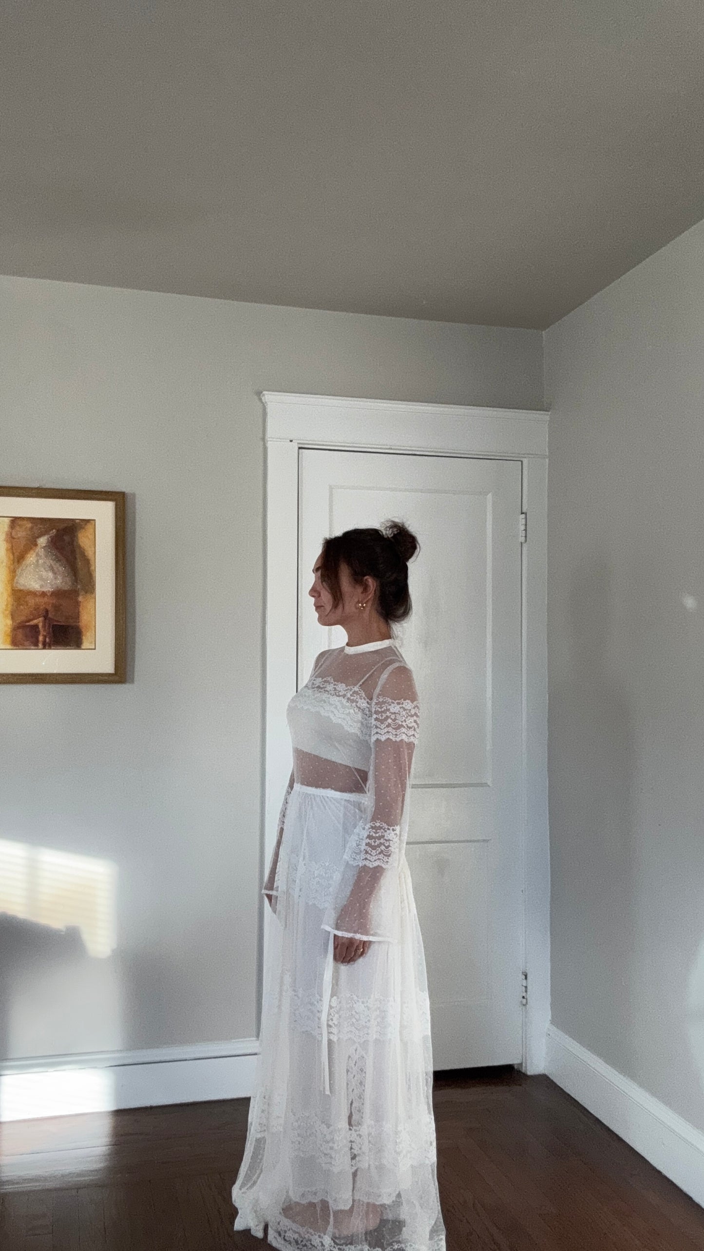 Vintage Mesh & Lace Gown Set w/ Matching Slip Dress