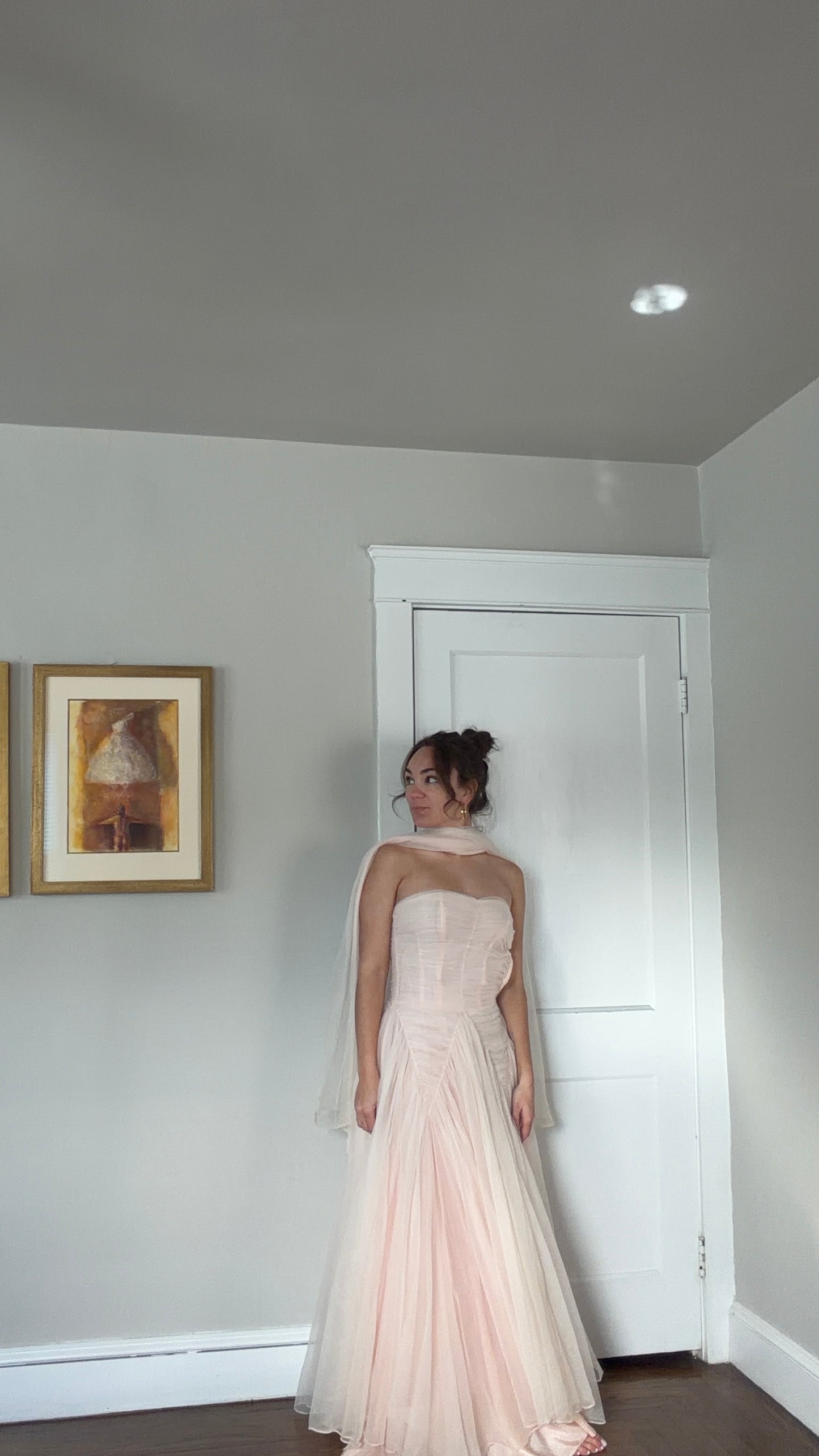 1950s Blush Tulle Gown with Neck Scarf
