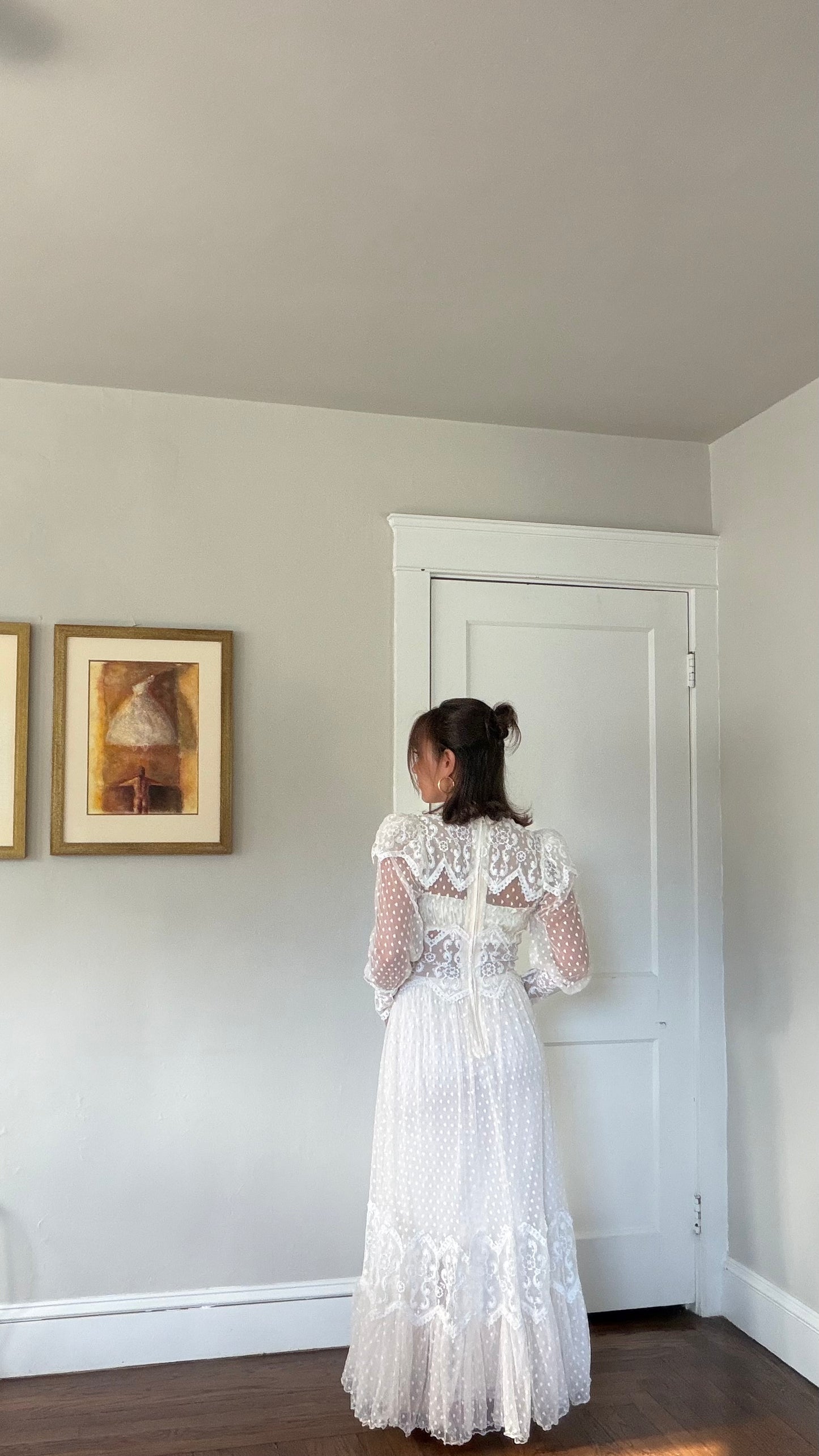 Rare Swiss Dot Lace Sheer Dress
