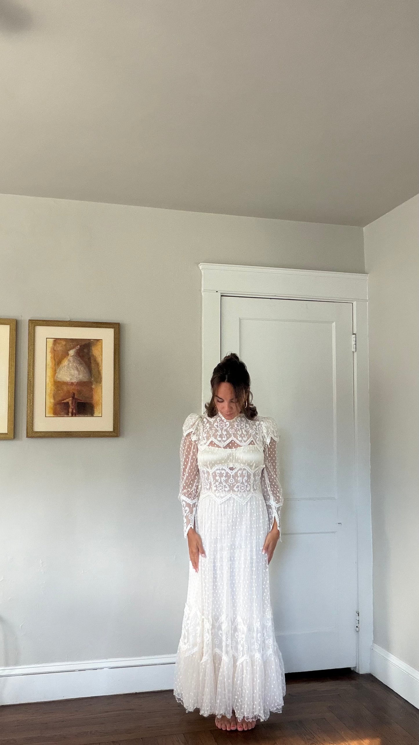 Rare Swiss Dot Lace Sheer Dress