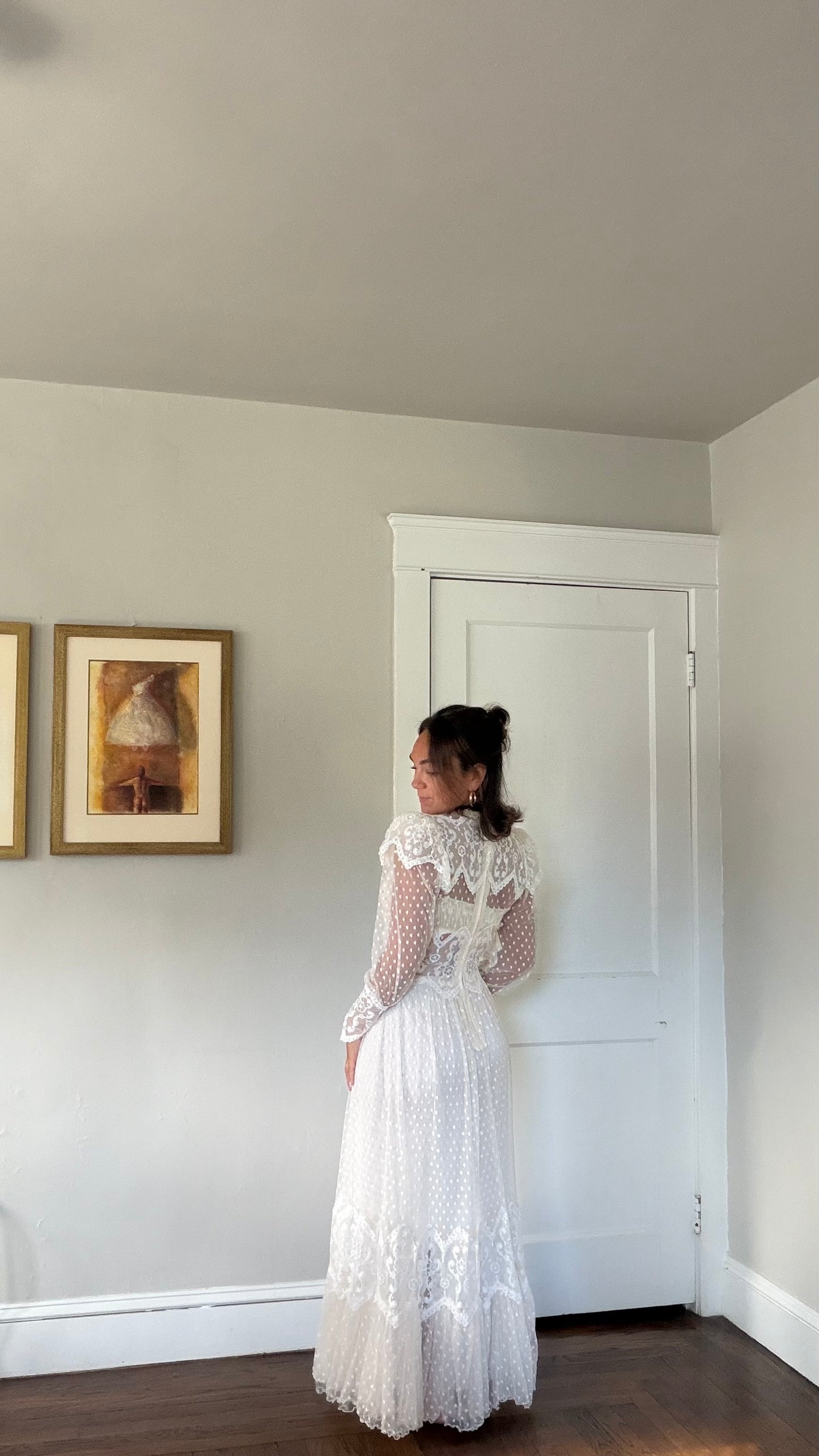 Rare Swiss Dot Lace Sheer Dress