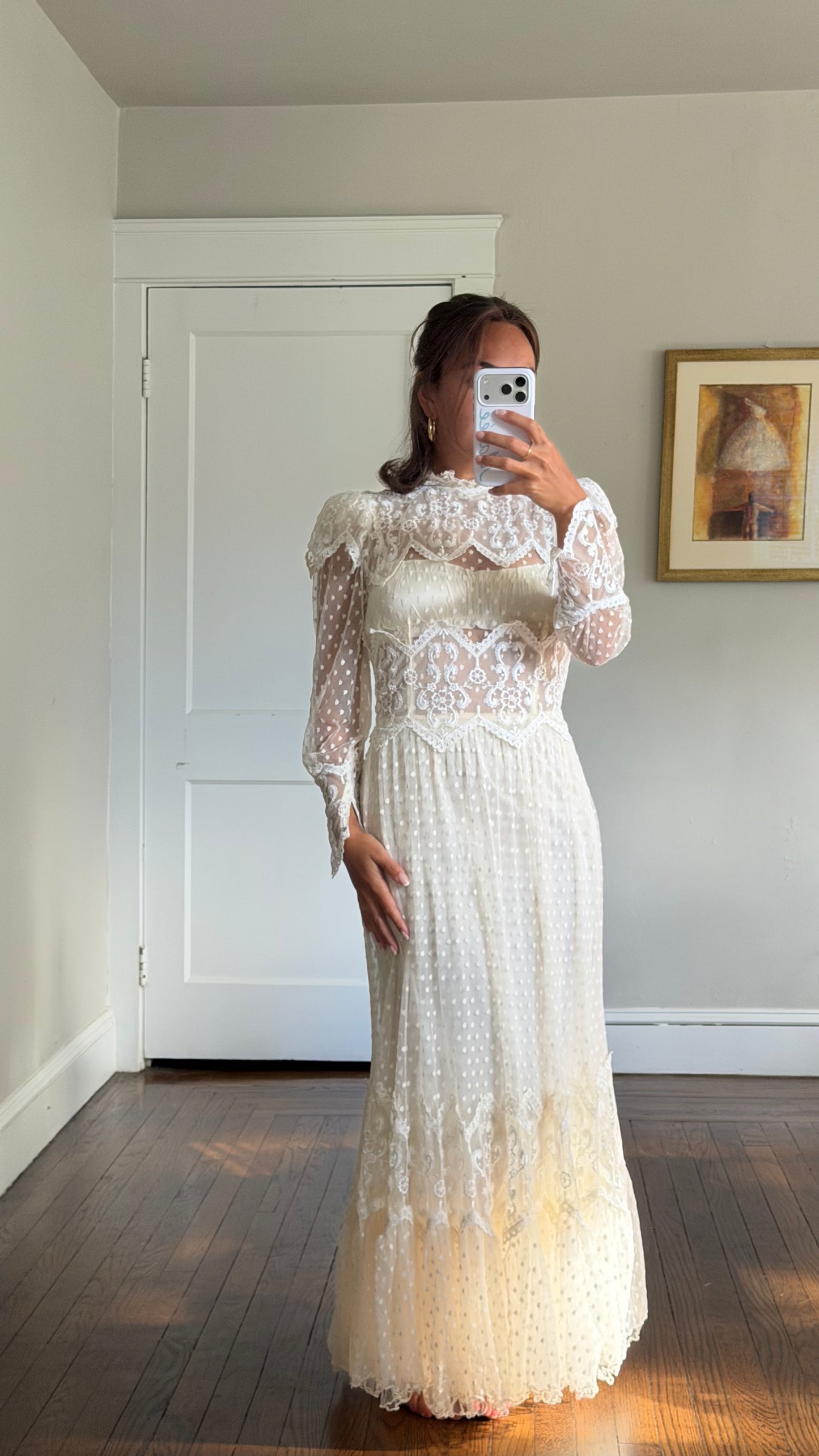 Rare Swiss Dot Lace Sheer Dress