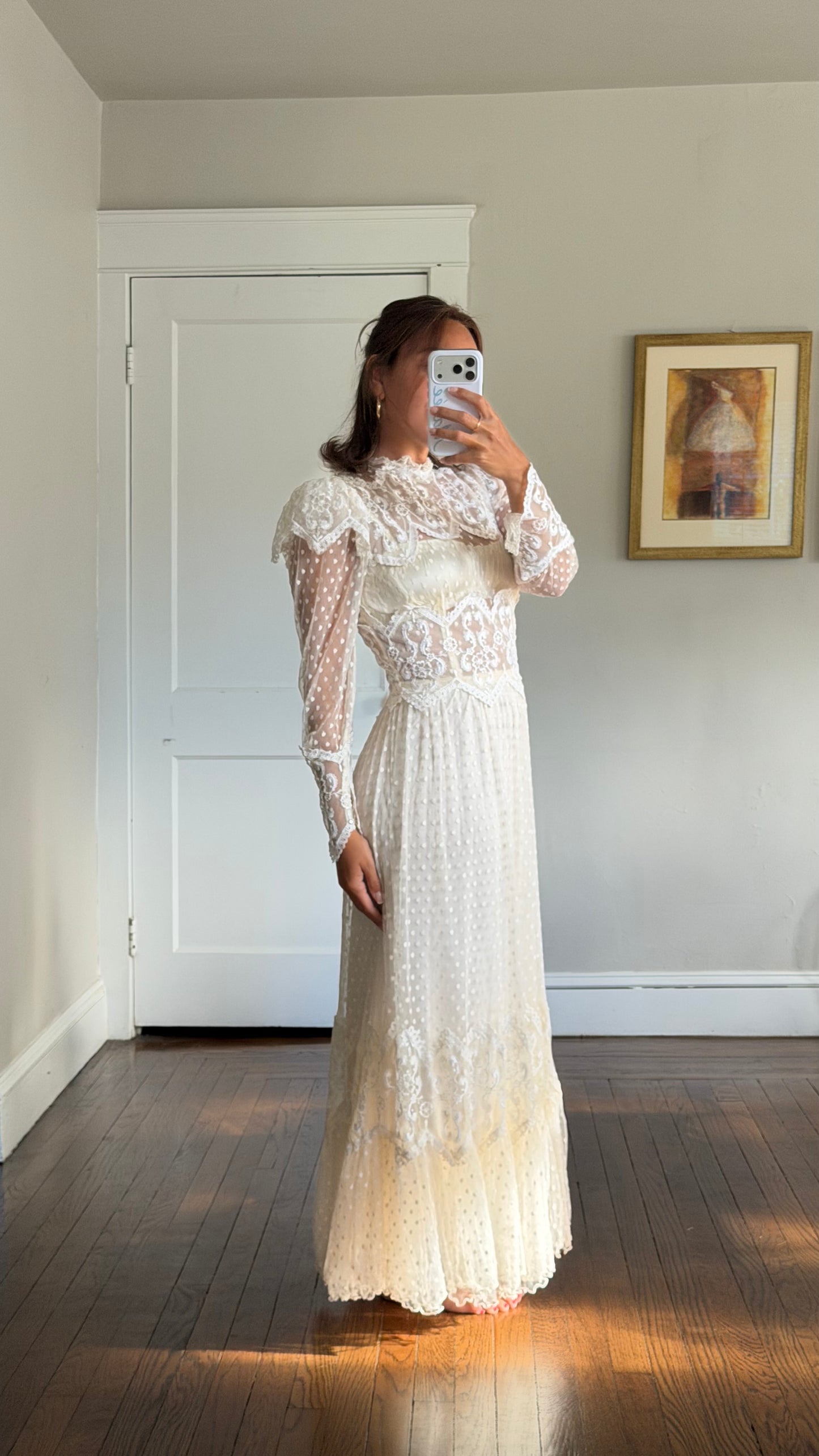 Rare Swiss Dot Lace Sheer Dress