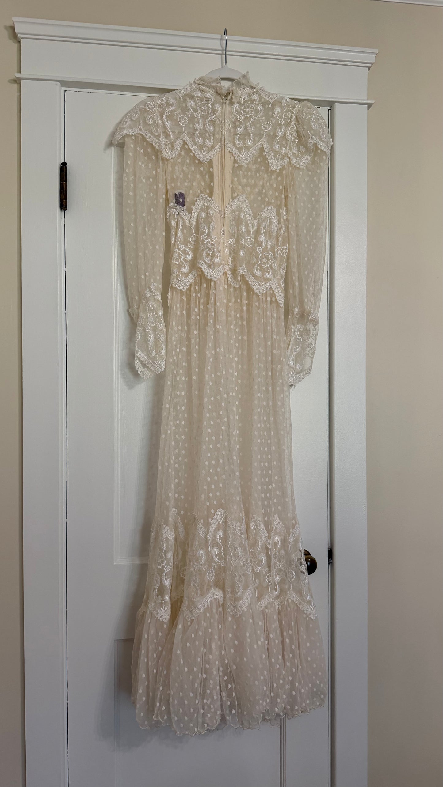 Rare Swiss Dot Lace Sheer Dress