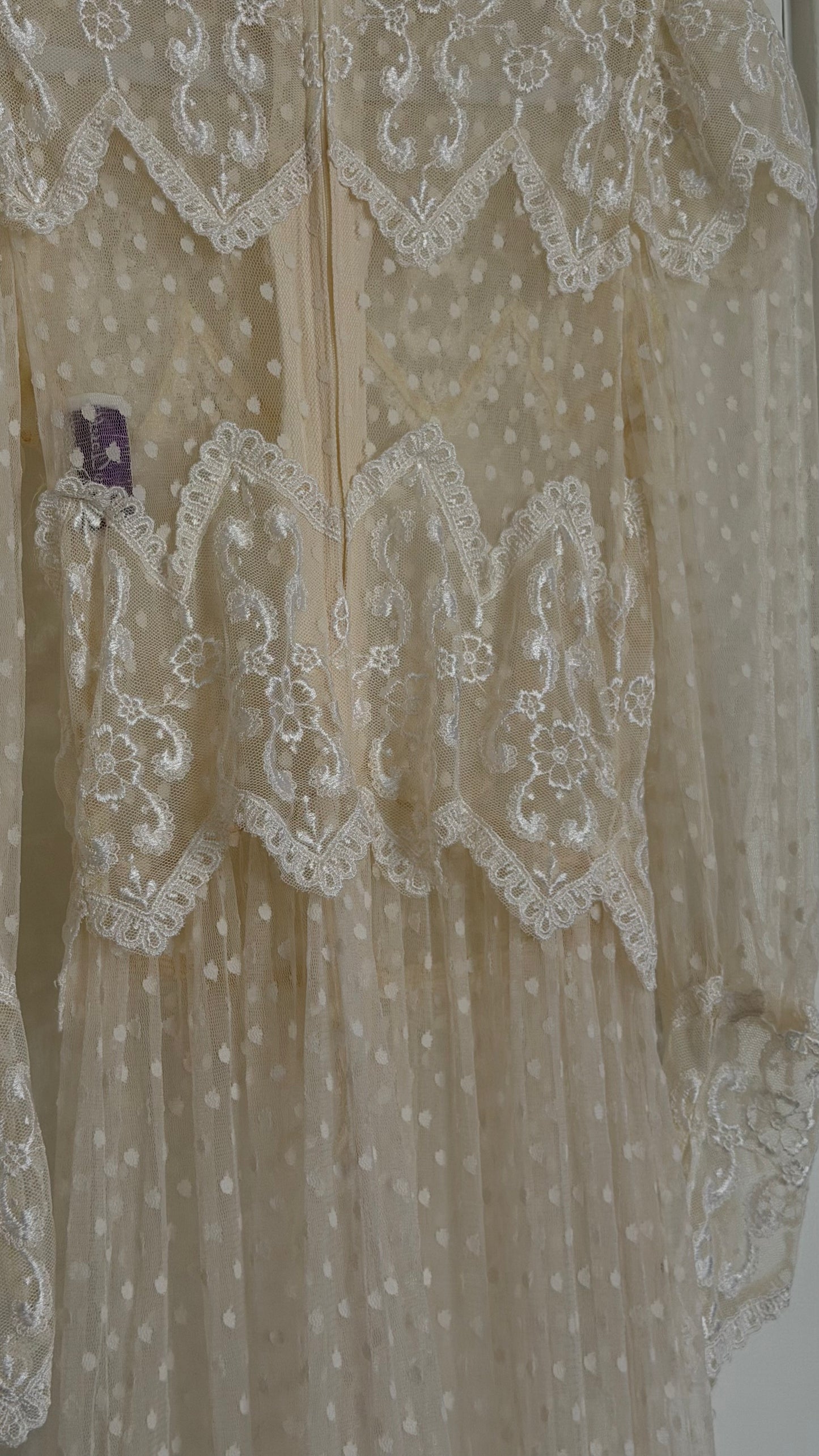 Rare Swiss Dot Lace Sheer Dress