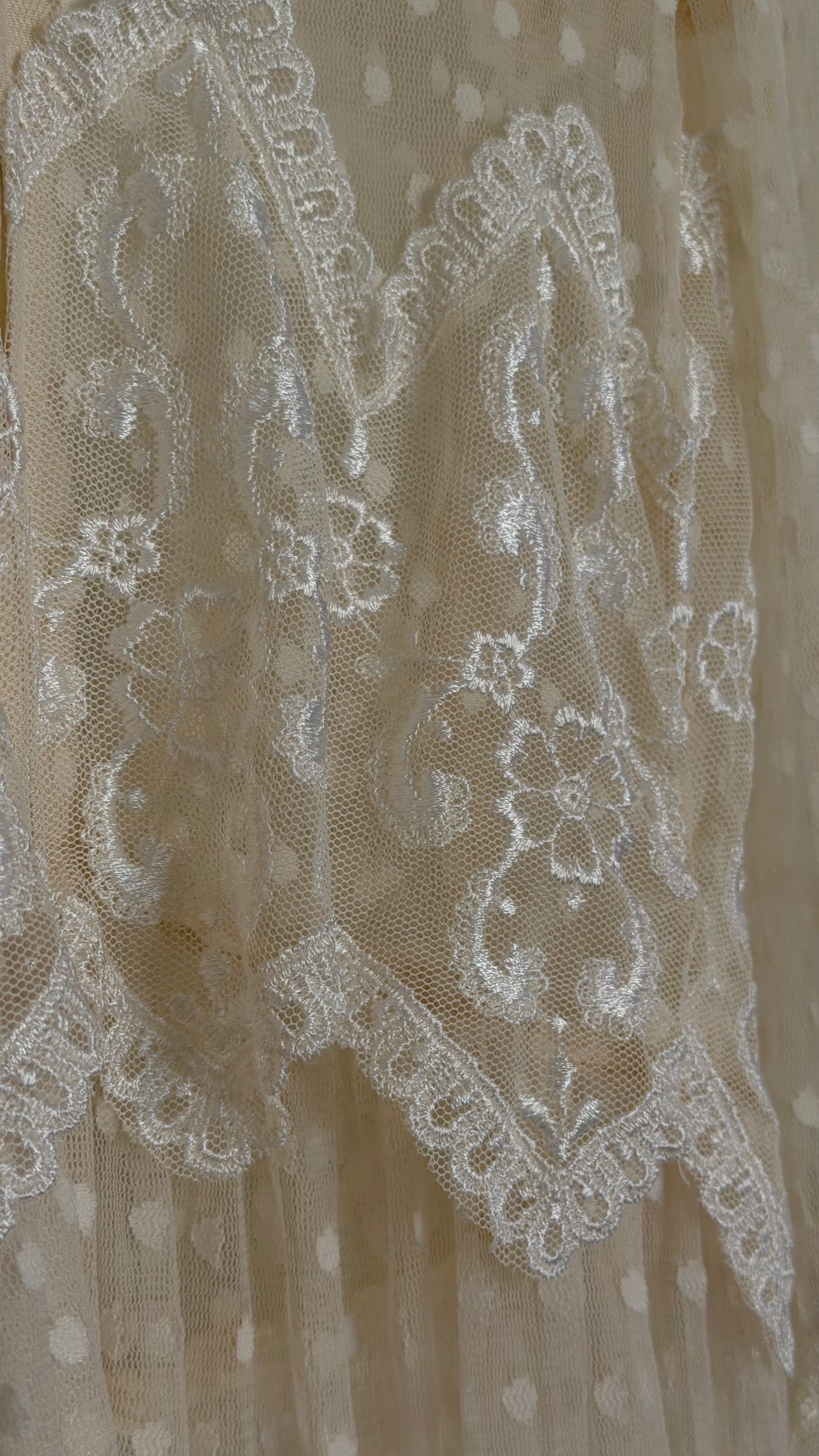 Rare Swiss Dot Lace Sheer Dress