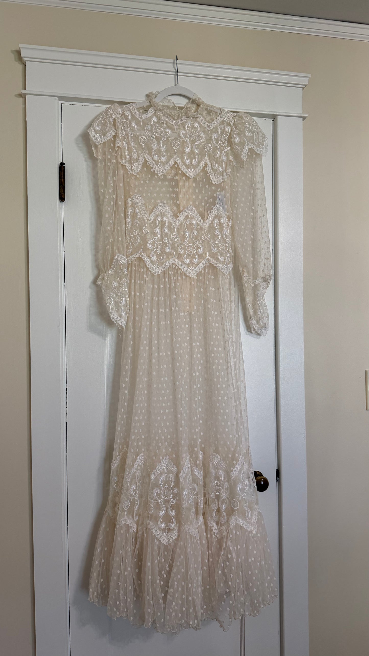 Rare Swiss Dot Lace Sheer Dress