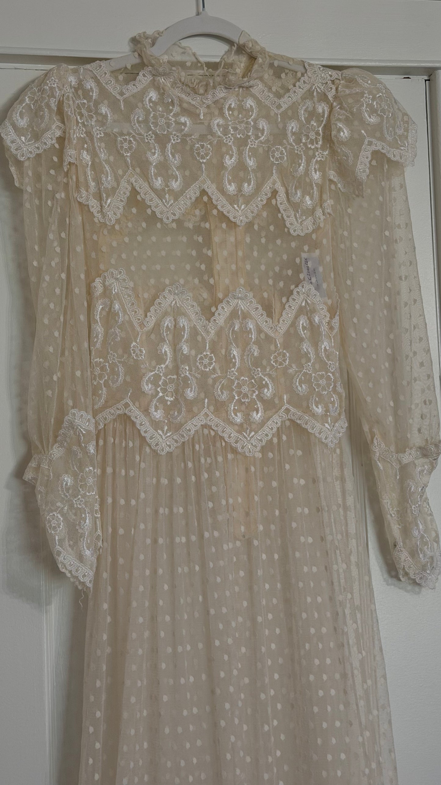 Rare Swiss Dot Lace Sheer Dress
