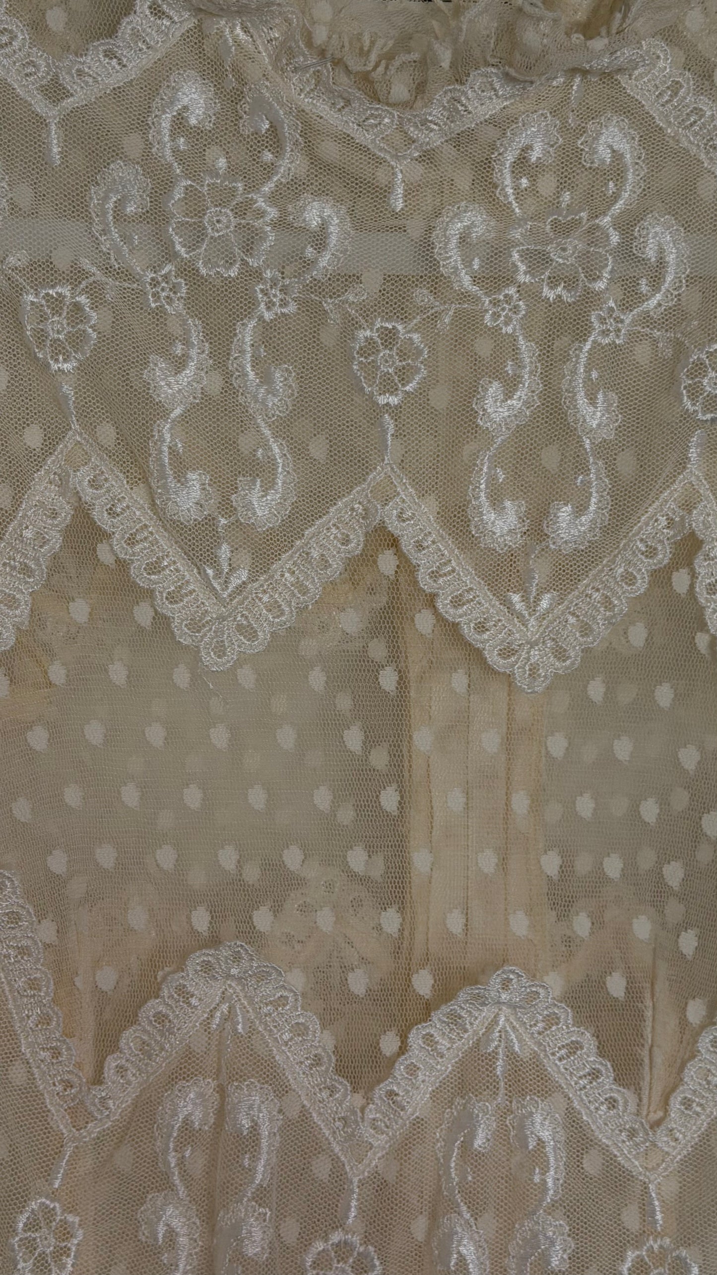Rare Swiss Dot Lace Sheer Dress