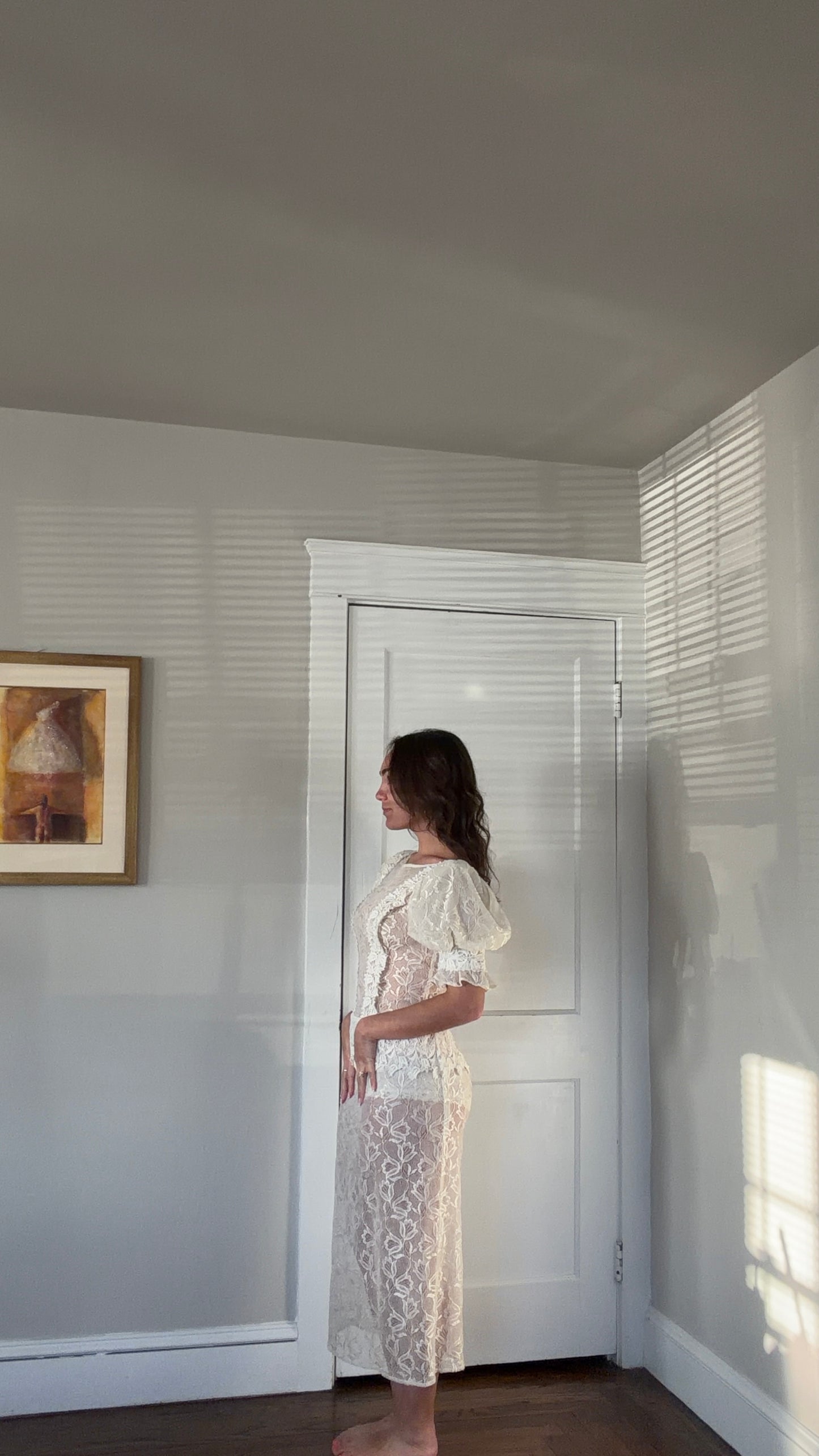Sheer Lace Puff Sleeve Midi