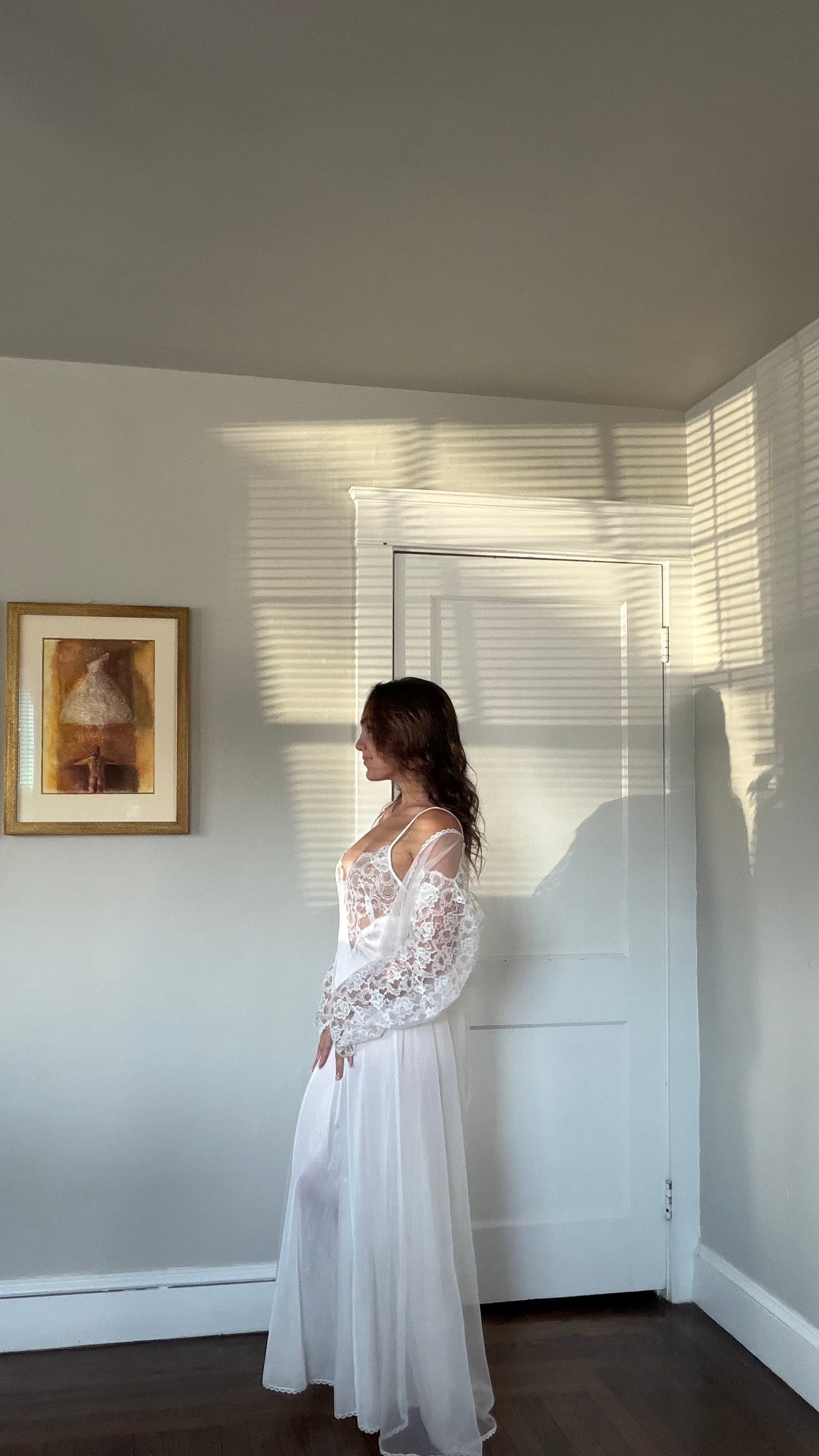 Rare Sheer Lace Longsleeve Peignoir Set