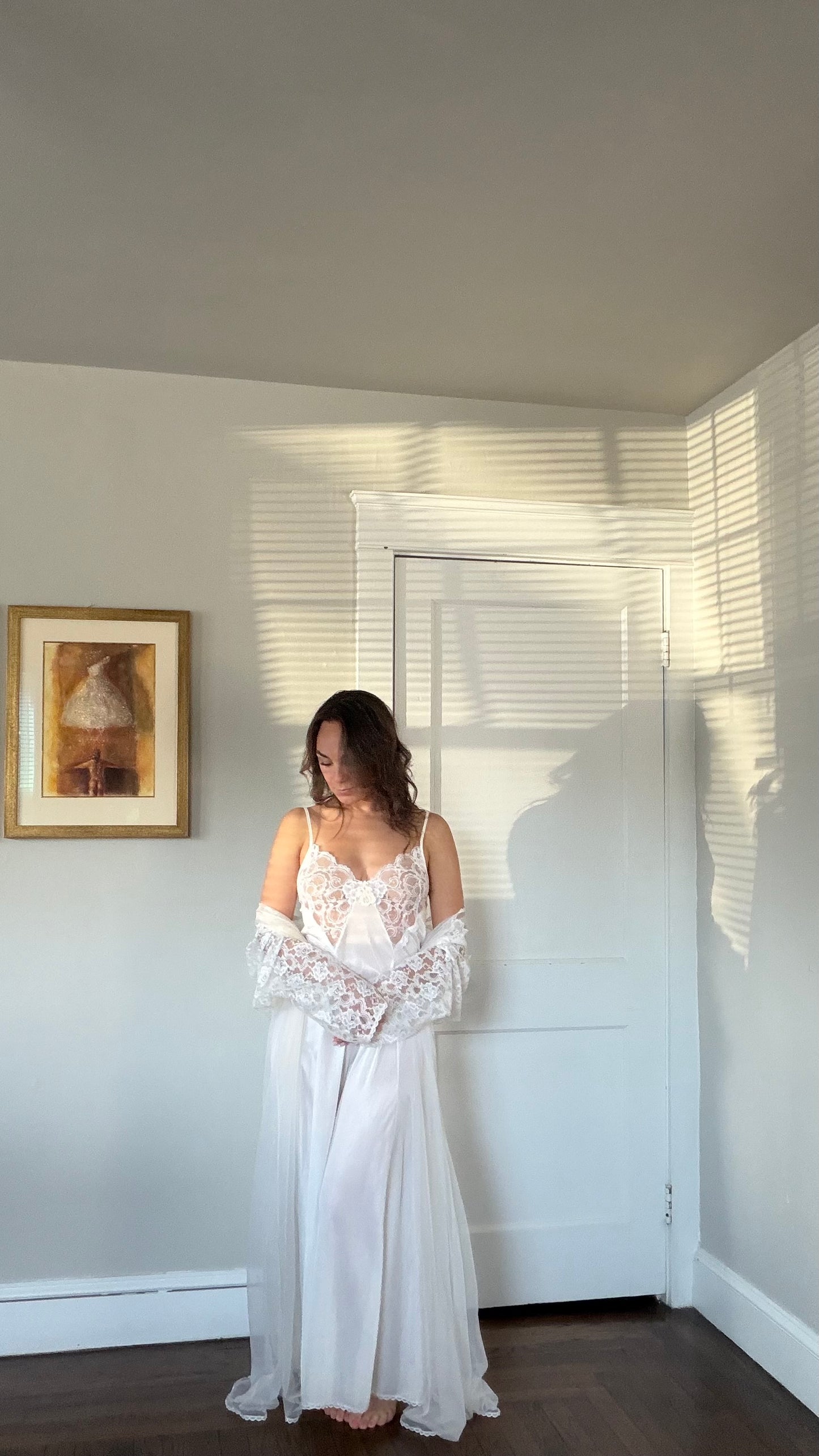 Rare Sheer Lace Longsleeve Peignoir Set