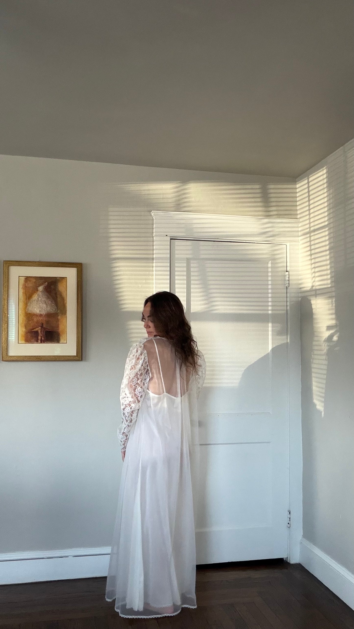 Rare Sheer Lace Longsleeve Peignoir Set