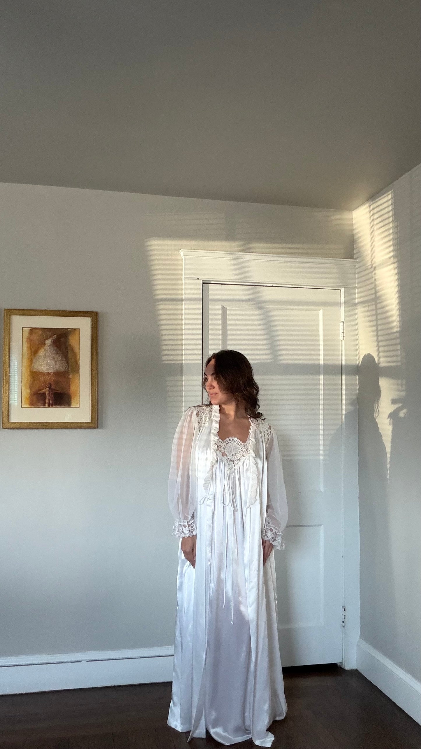 Rare Lace and Chiffon Detail Peignoir Set