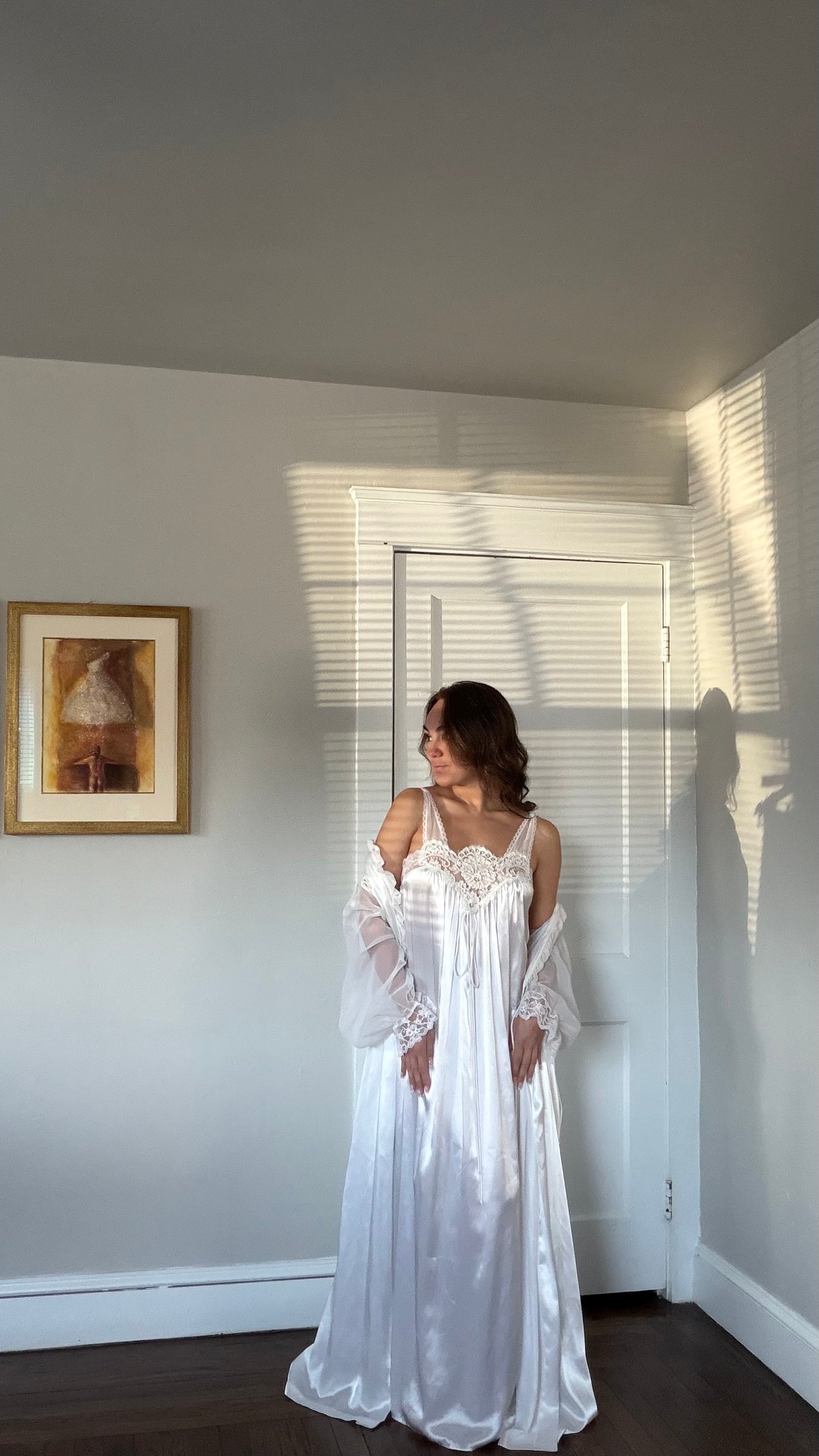 Rare Lace and Chiffon Detail Peignoir Set