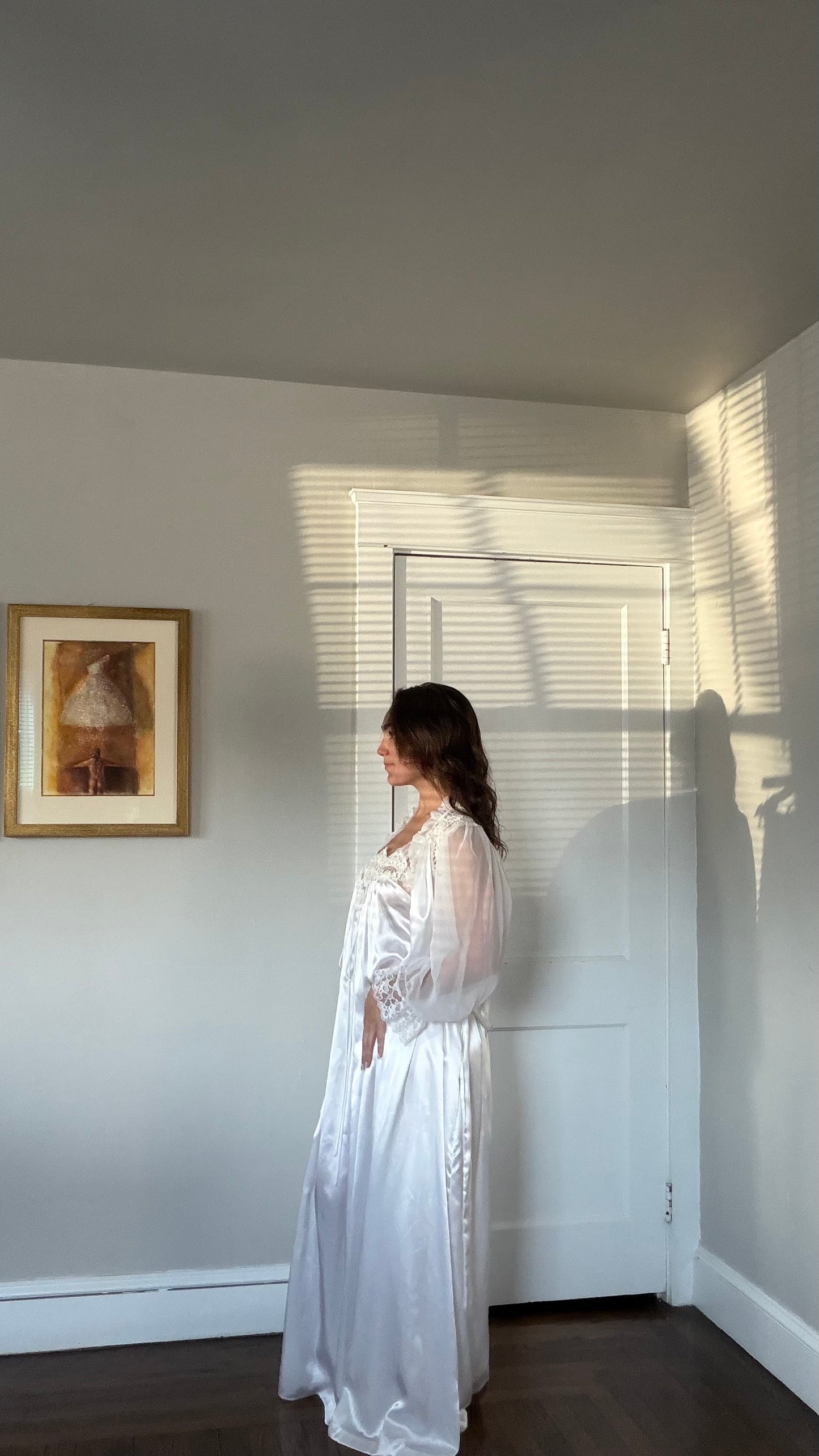 Rare Lace and Chiffon Detail Peignoir Set