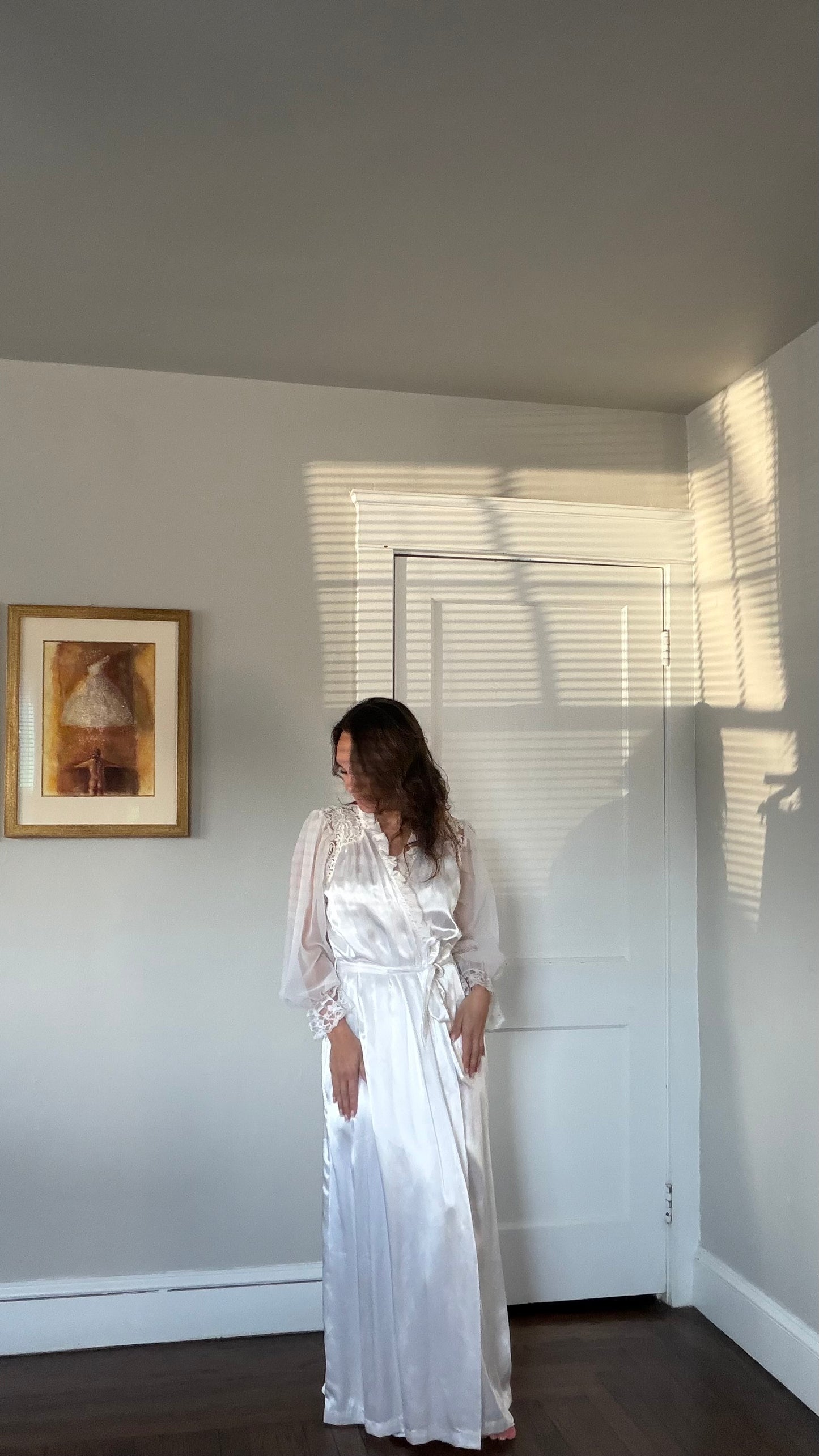 Rare Lace and Chiffon Detail Peignoir Set