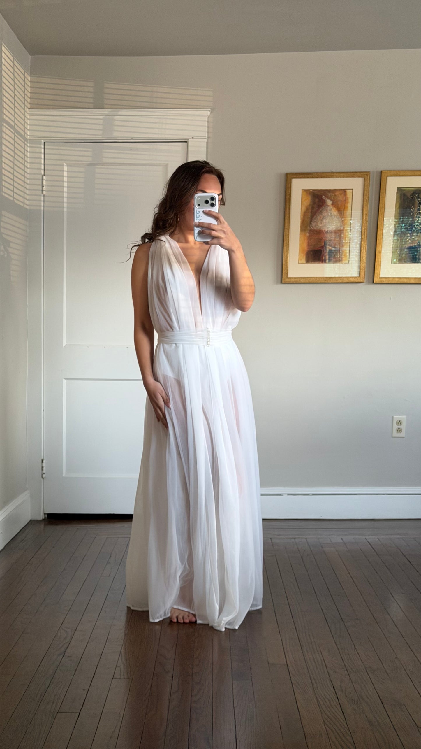 Rare Sheer Chiffon Overlay Gown with Matching Belt