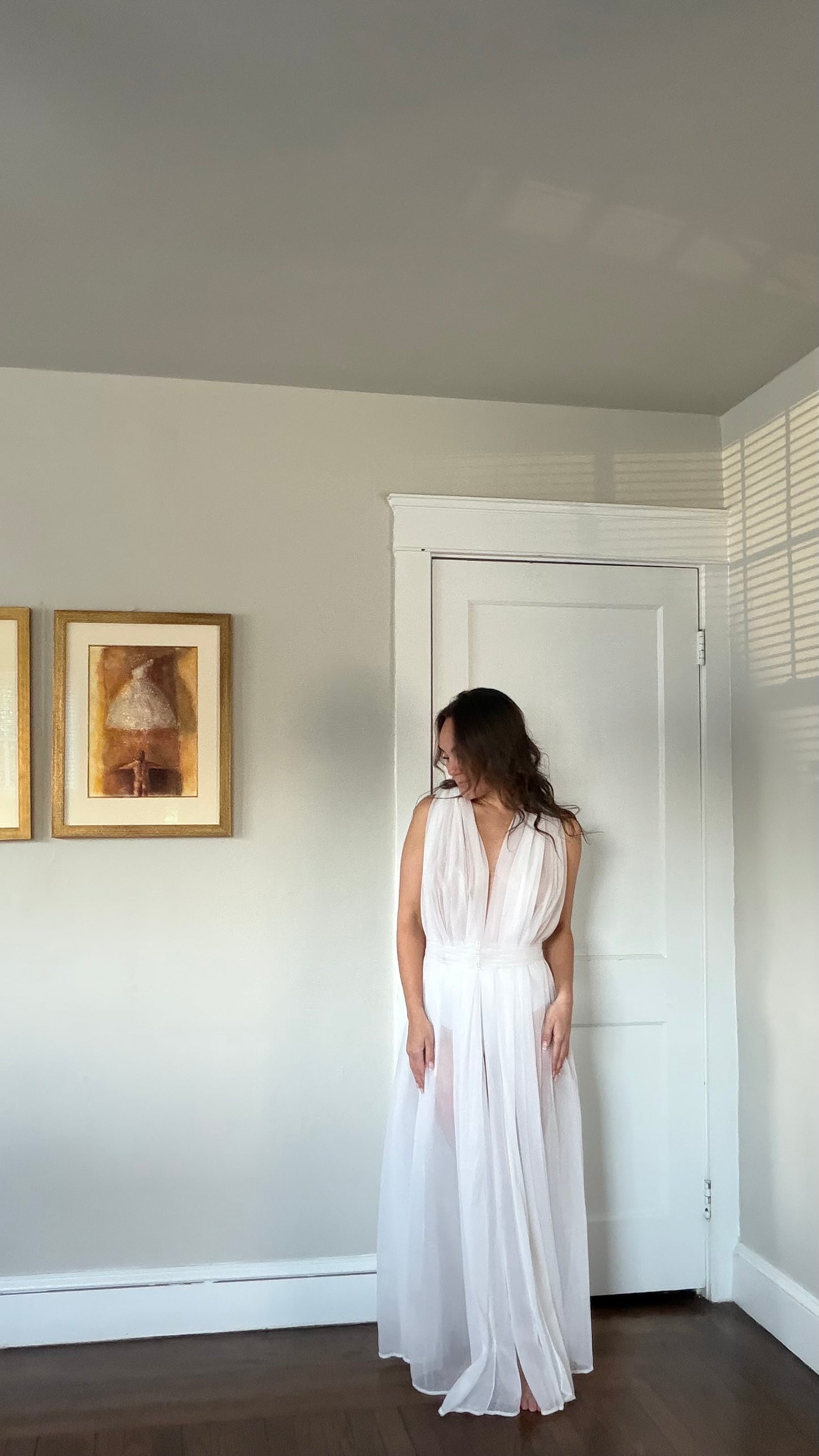 Rare Sheer Chiffon Overlay Gown with Matching Belt