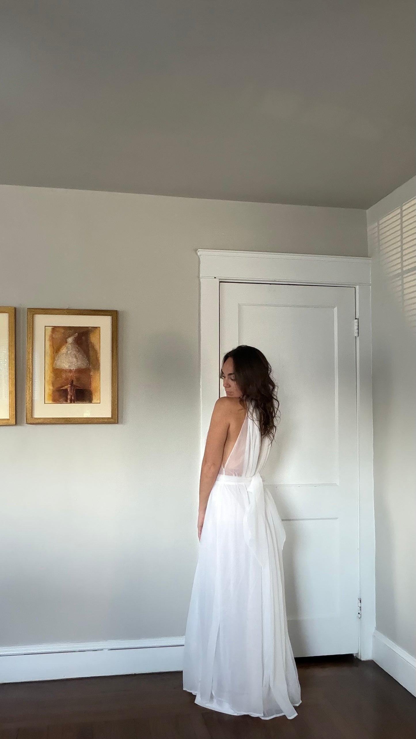 Rare Sheer Chiffon Overlay Gown with Matching Belt