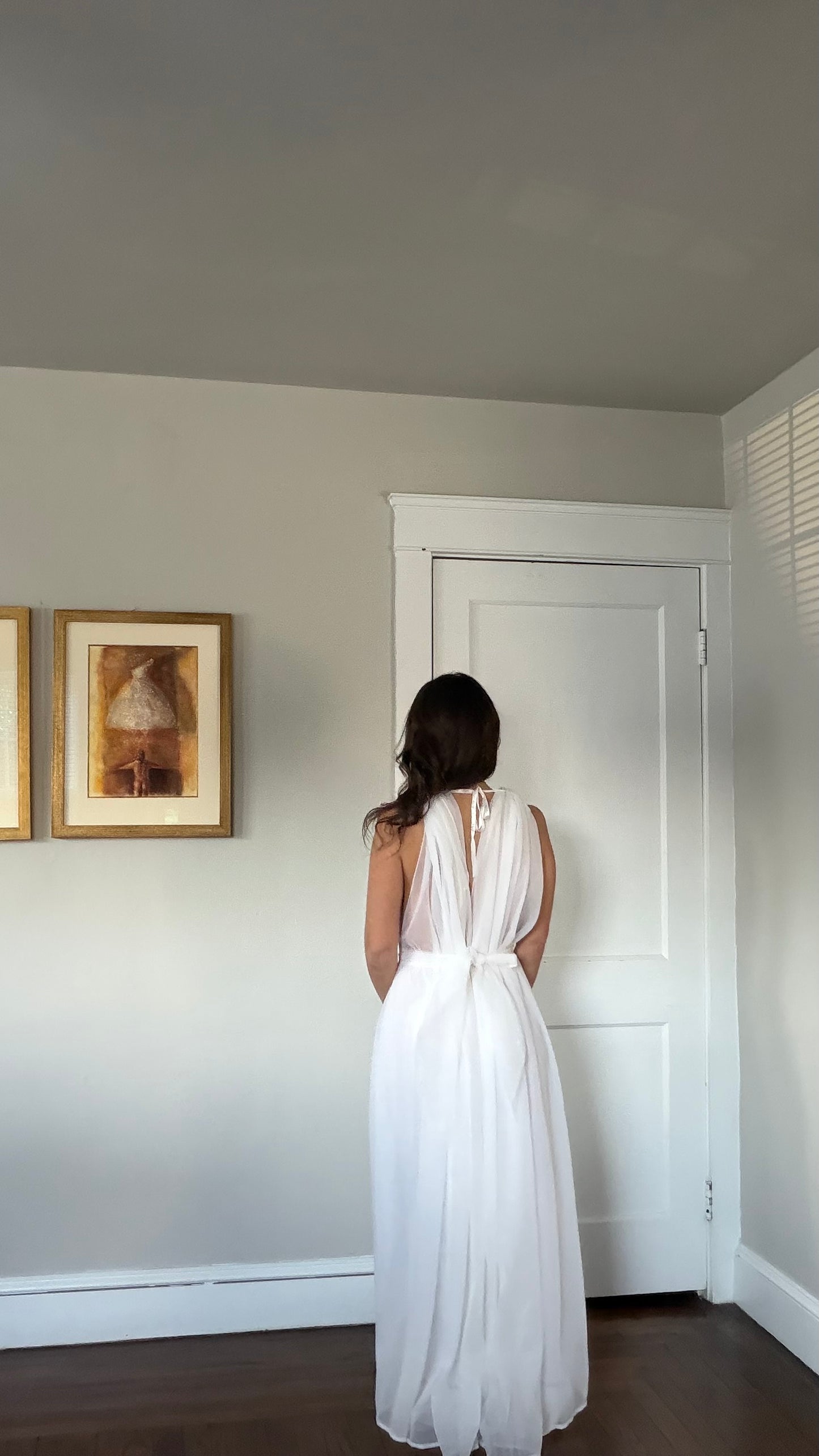 Rare Sheer Chiffon Overlay Gown with Matching Belt