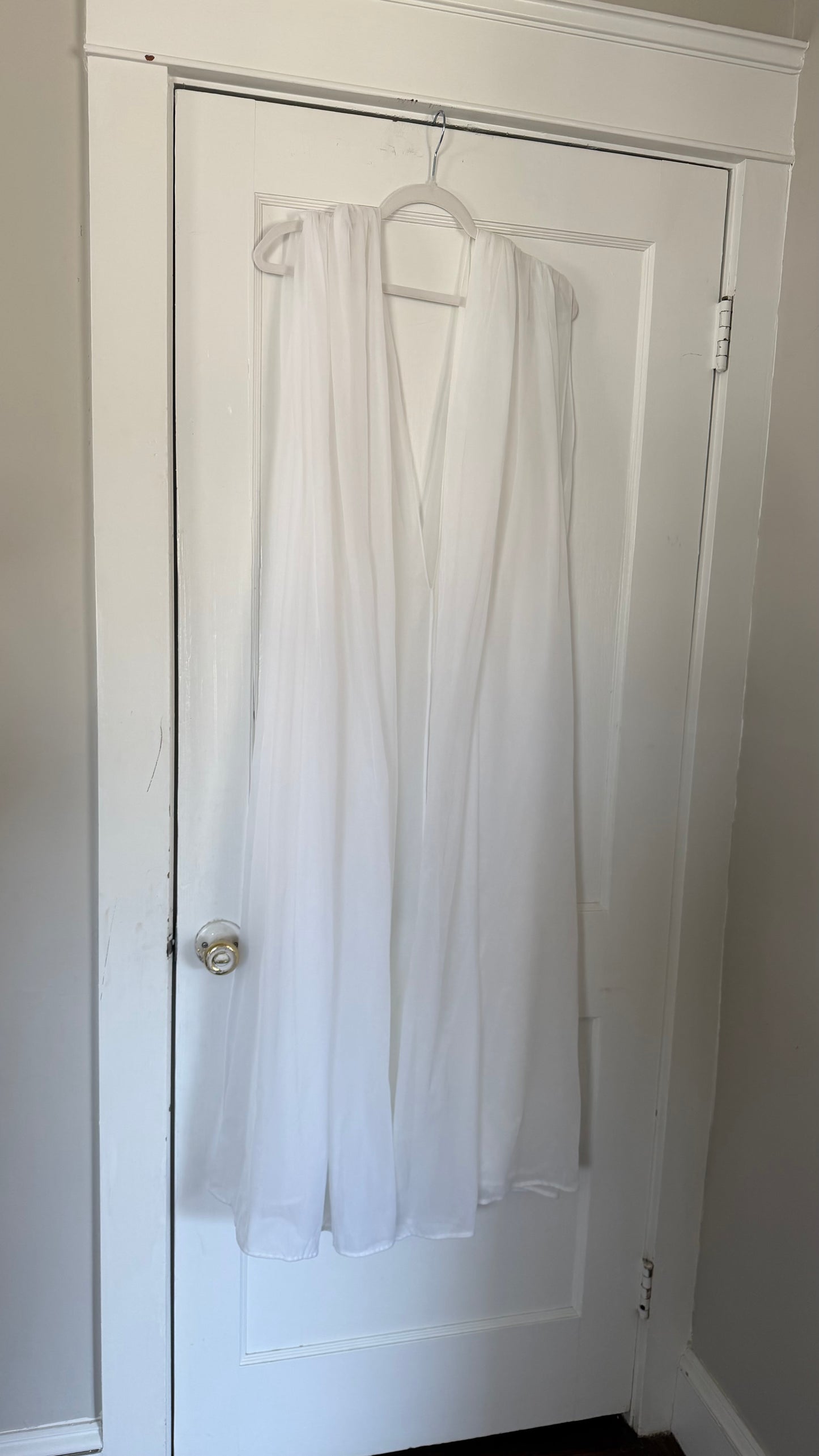 Rare Sheer Chiffon Overlay Gown with Matching Belt