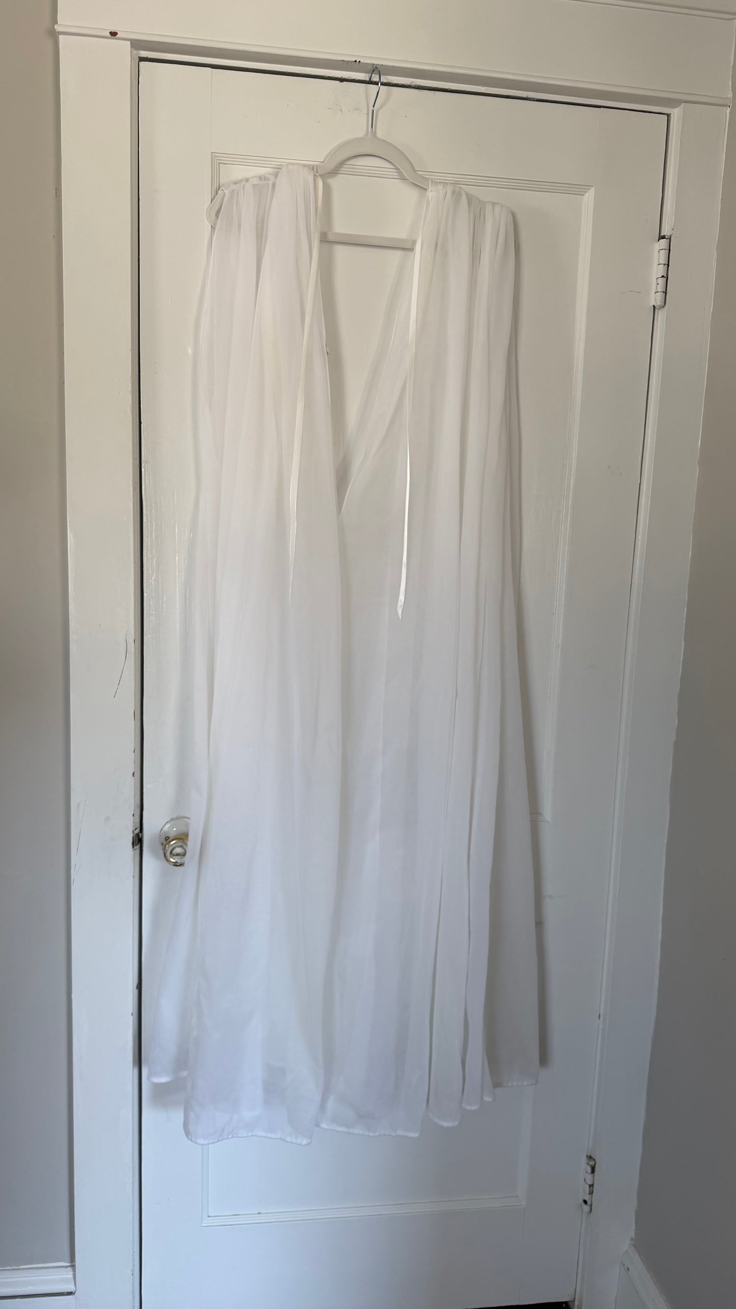 Rare Sheer Chiffon Overlay Gown with Matching Belt