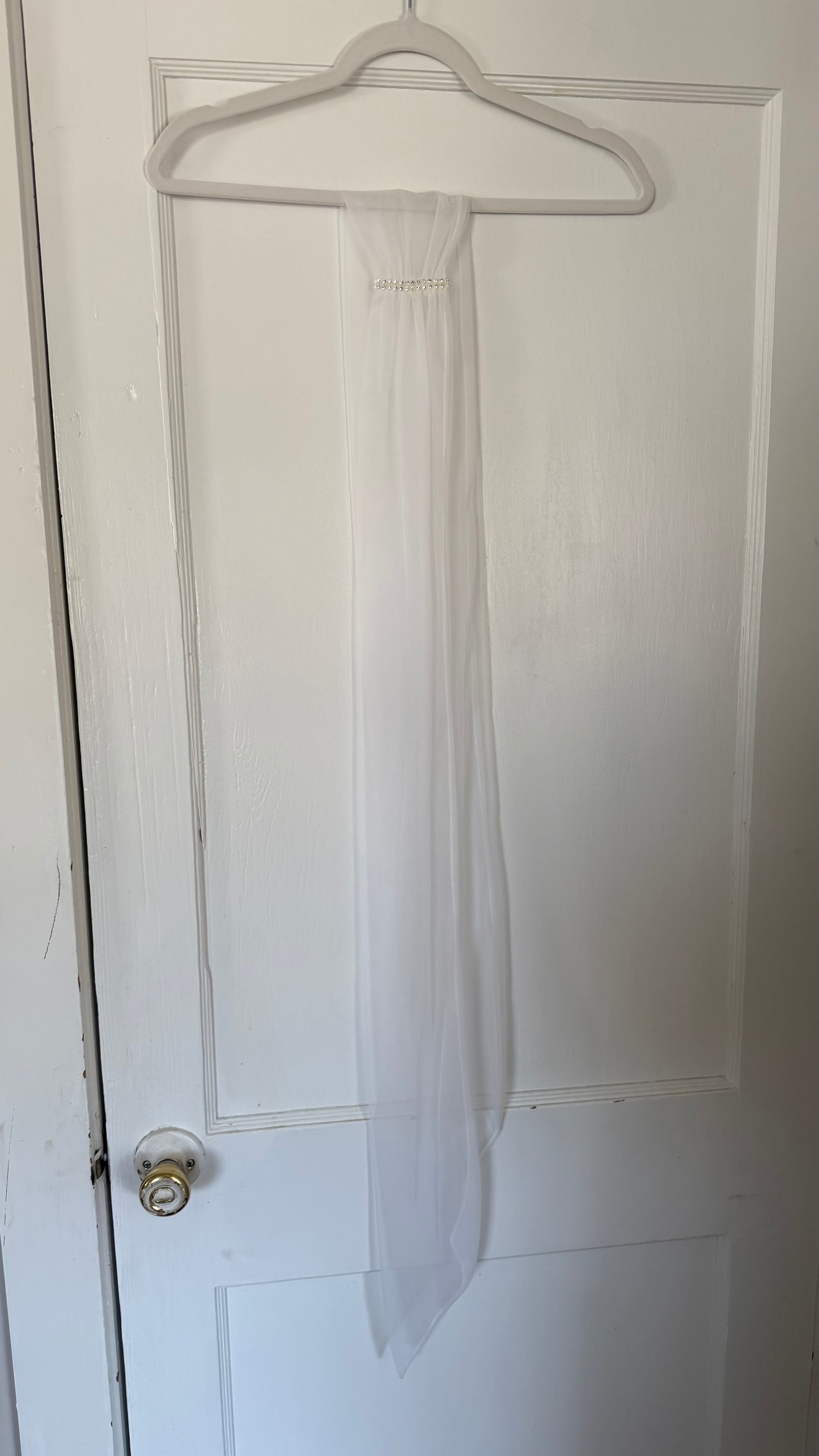Rare Sheer Chiffon Overlay Gown with Matching Belt