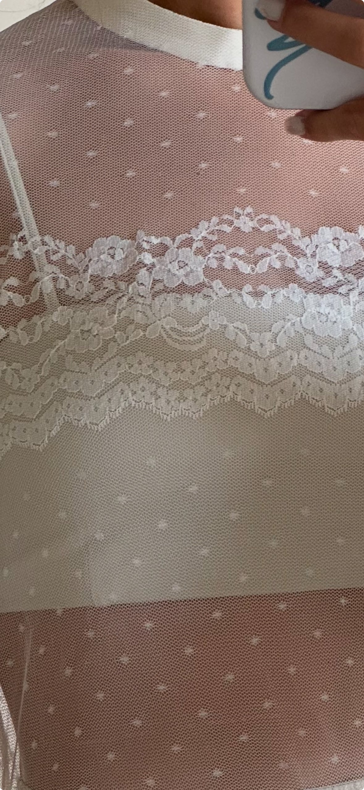 Vintage Mesh & Lace Gown Set w/ Matching Slip Dress